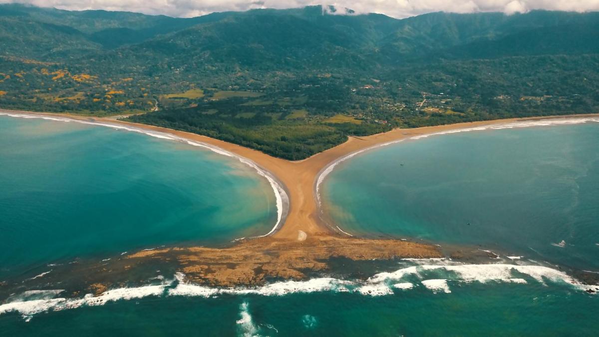 Osa de Rio