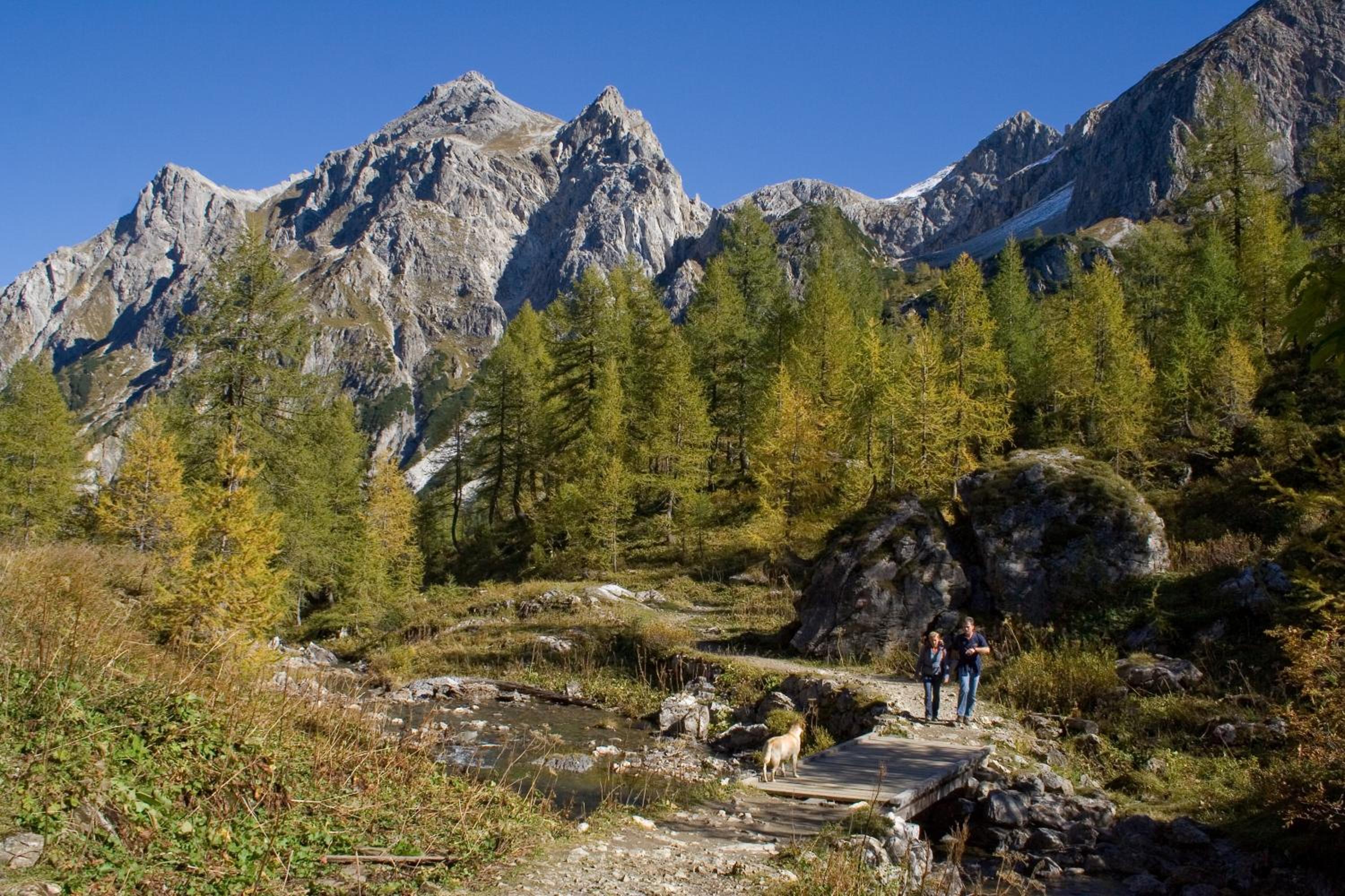 Pension Zum wilden Hannes