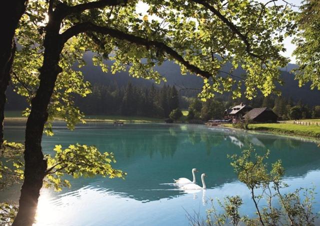 Pension Zum wilden Hannes