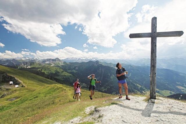 Pension Zum wilden Hannes