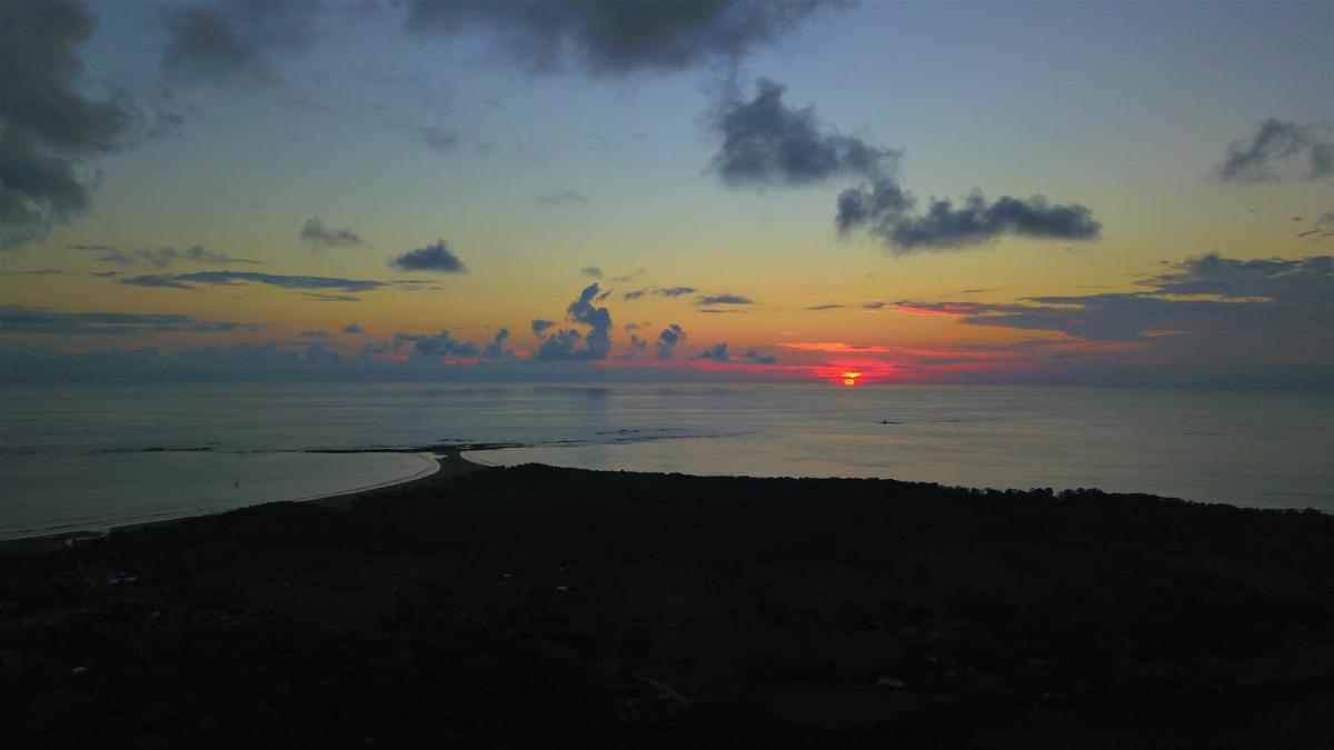 Osa de Rio