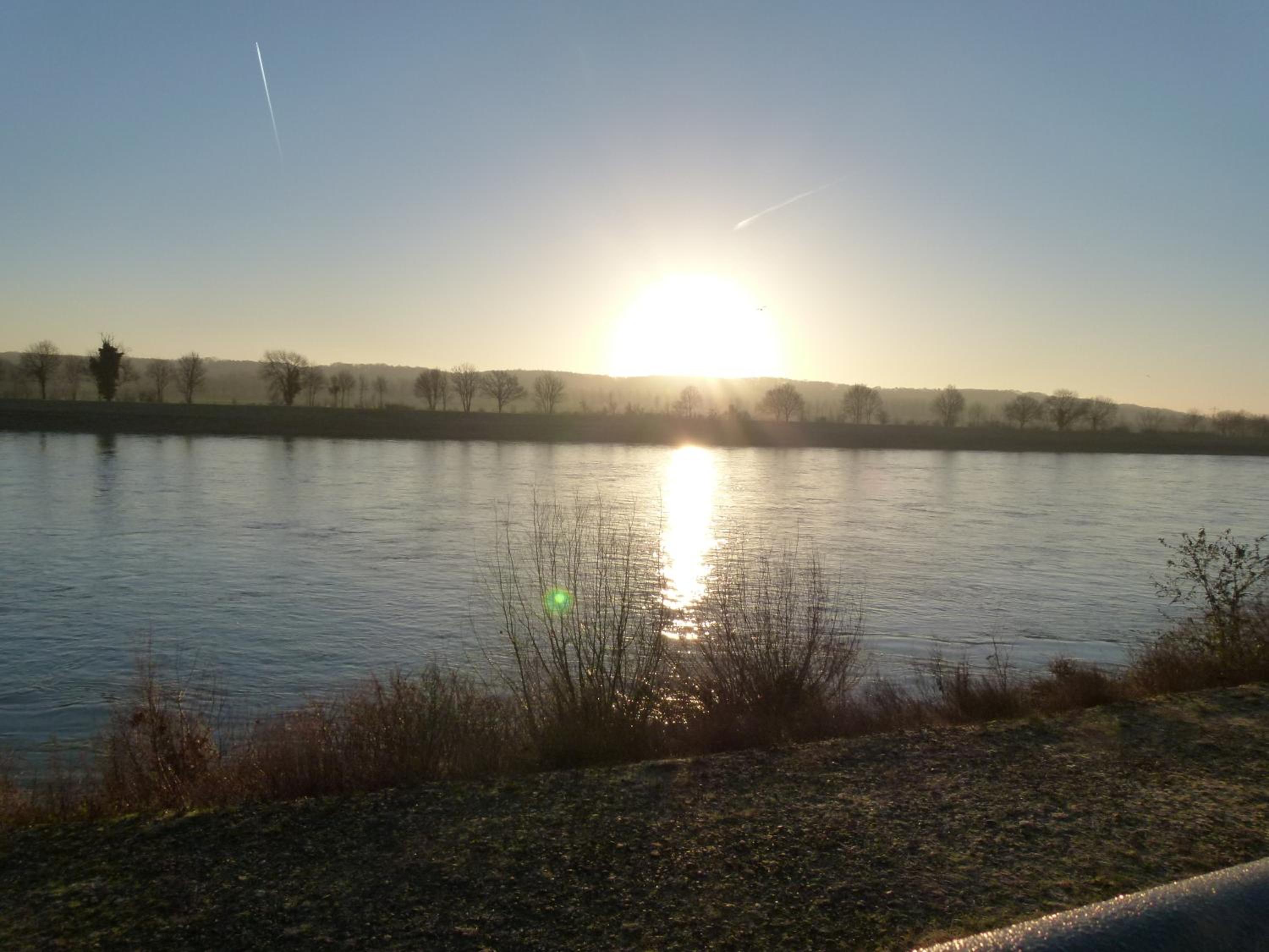 De Konik