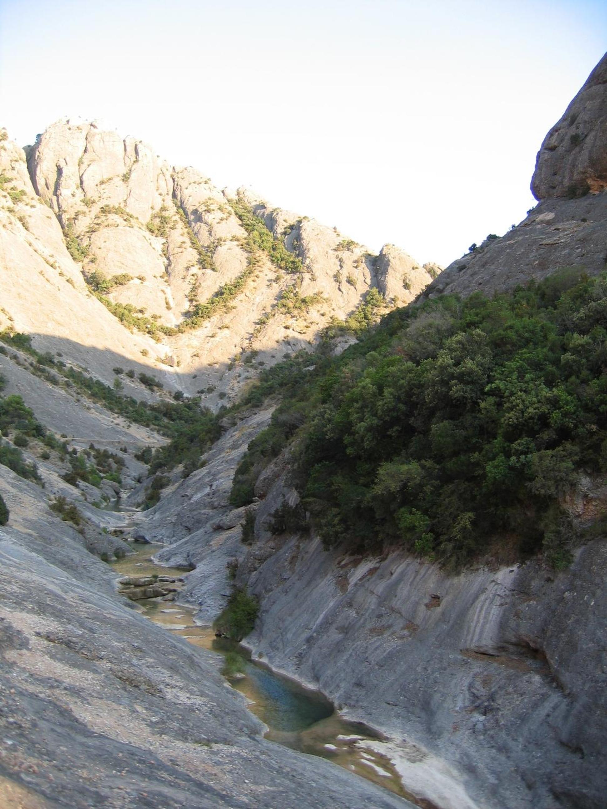 Photo 40