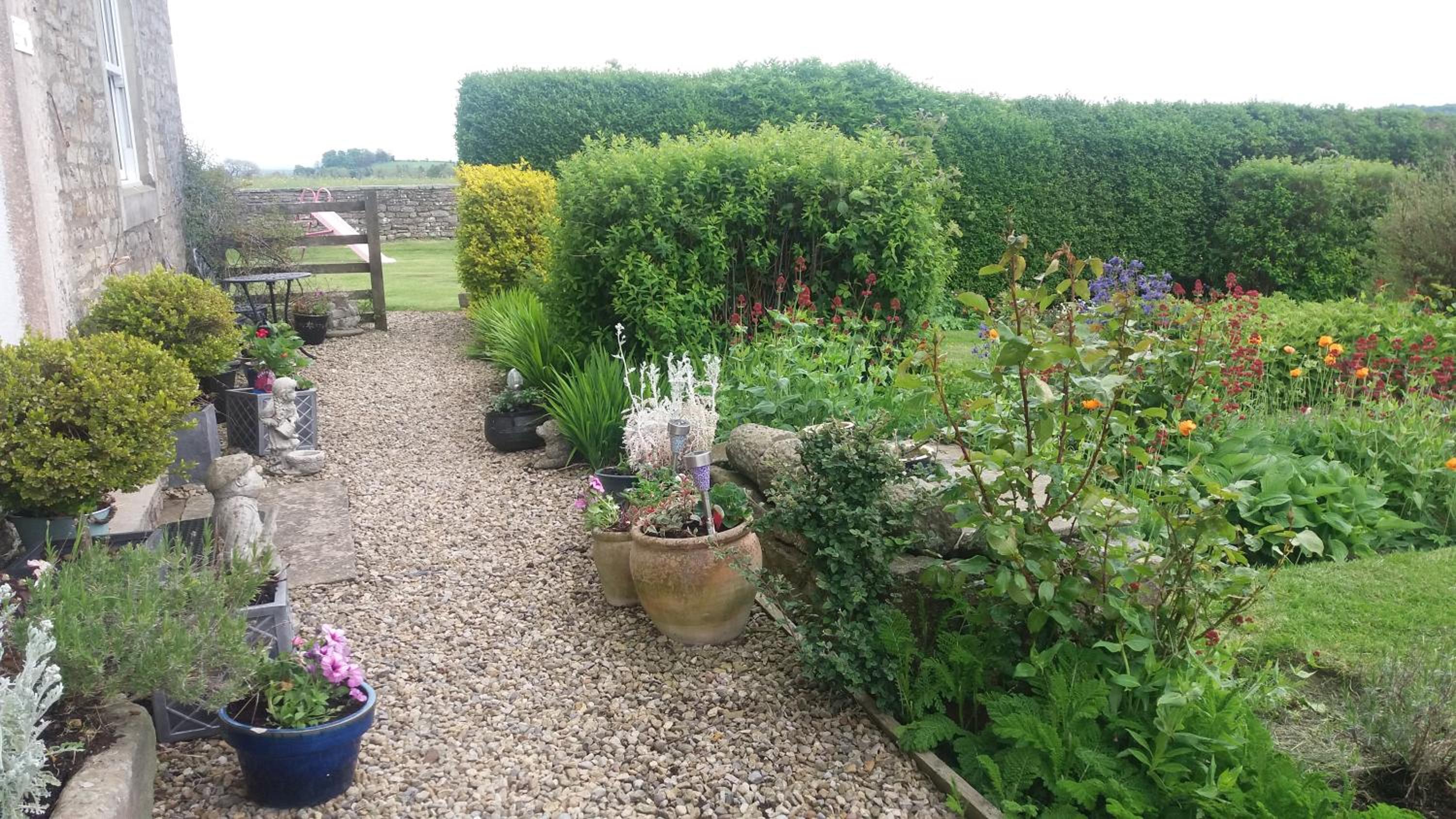 Lily Hill Farm view 2