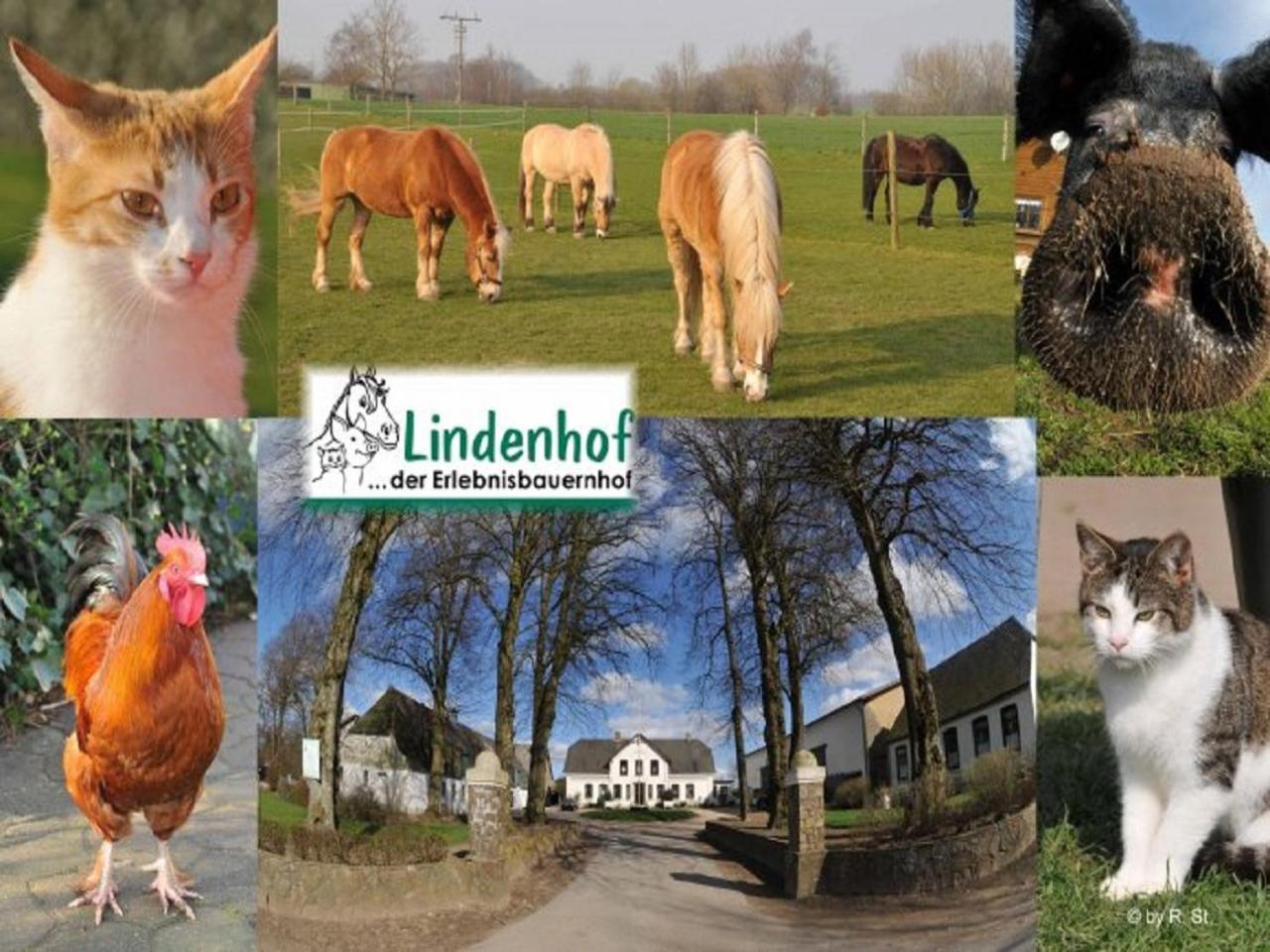Lindenhof