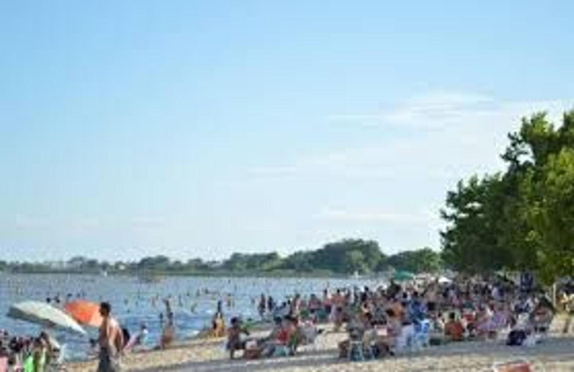 Photo 44