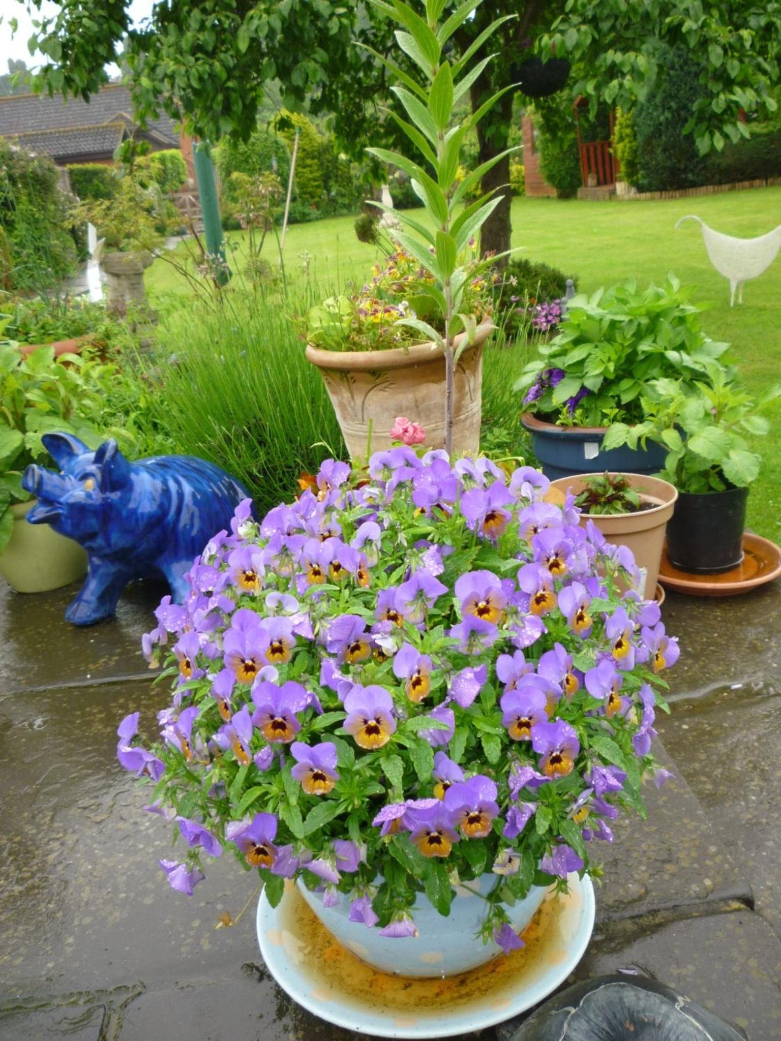 Hopewell self-catering