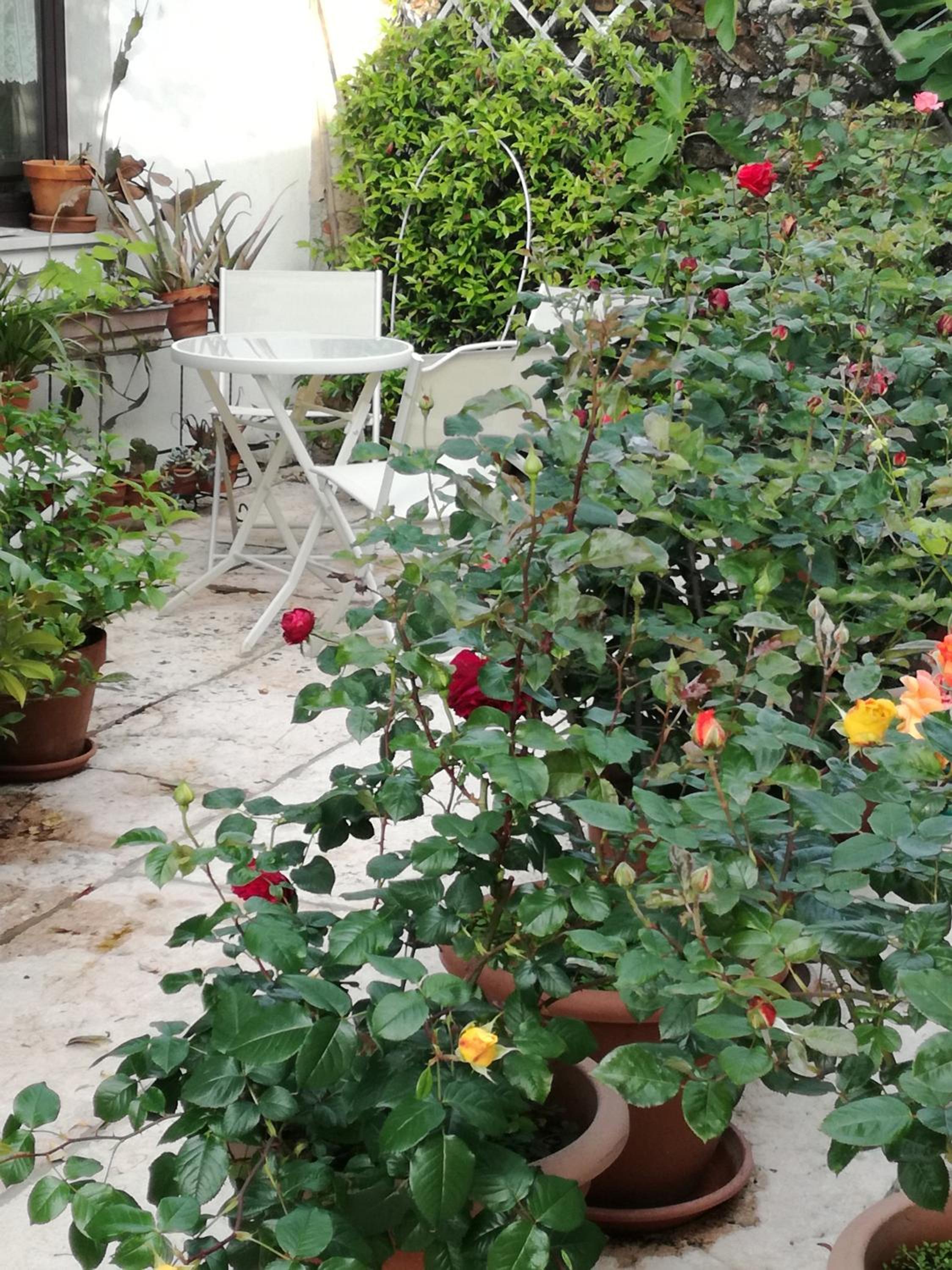B&B LE ORTENSIE view 5