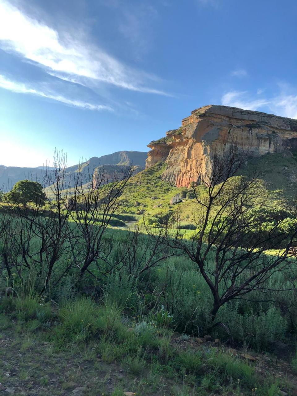 Clarens place Paddocks 19