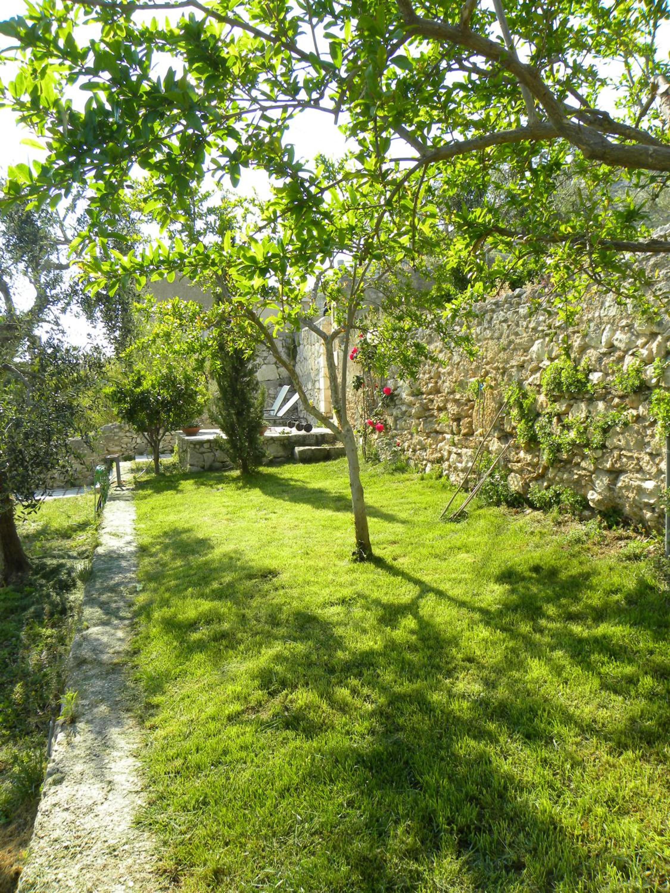 Photo 48
