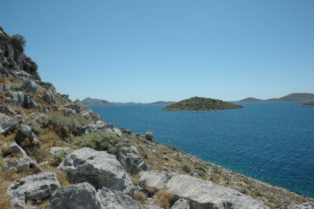 Photo 45