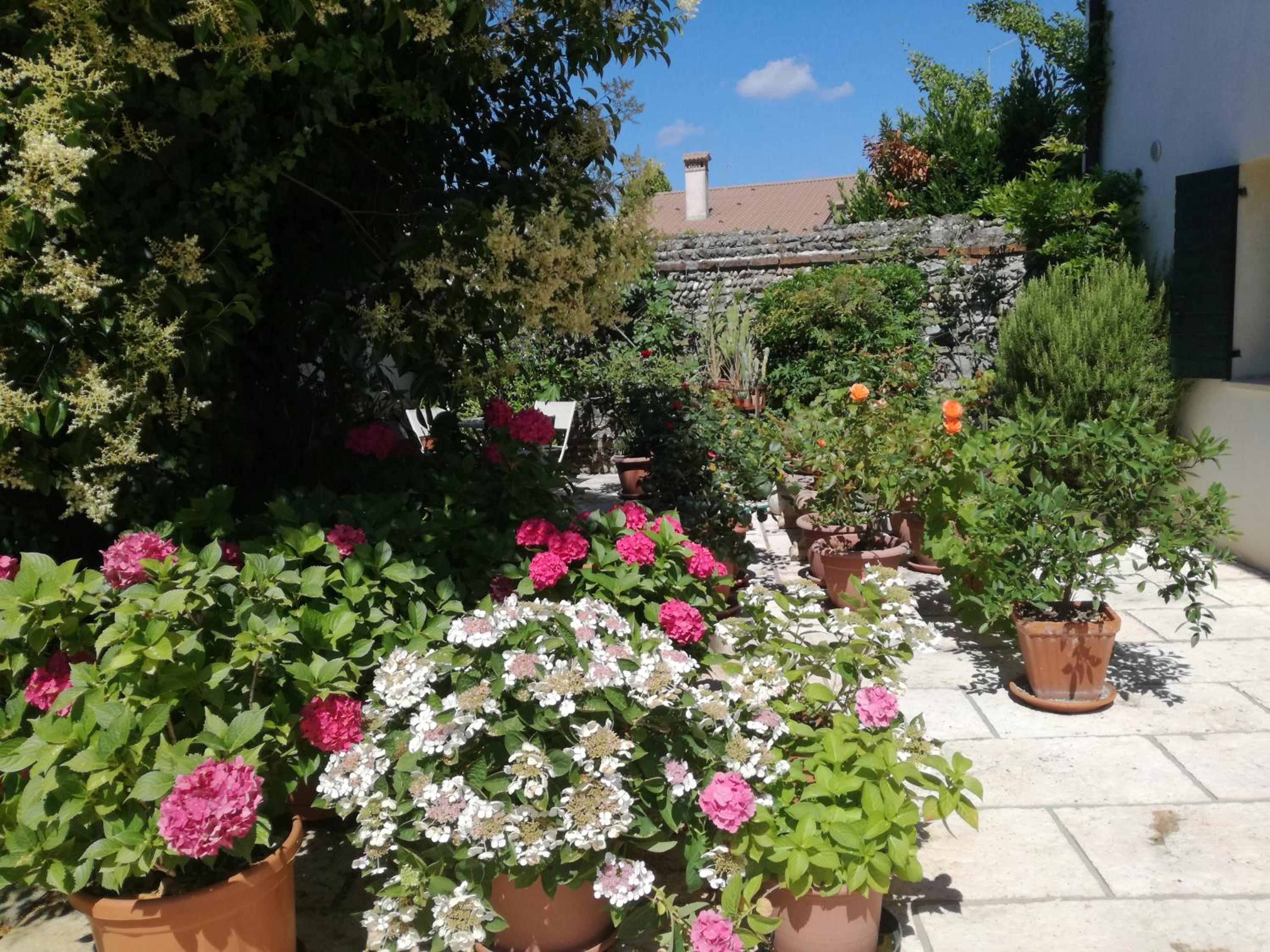 B&B LE ORTENSIE view 4