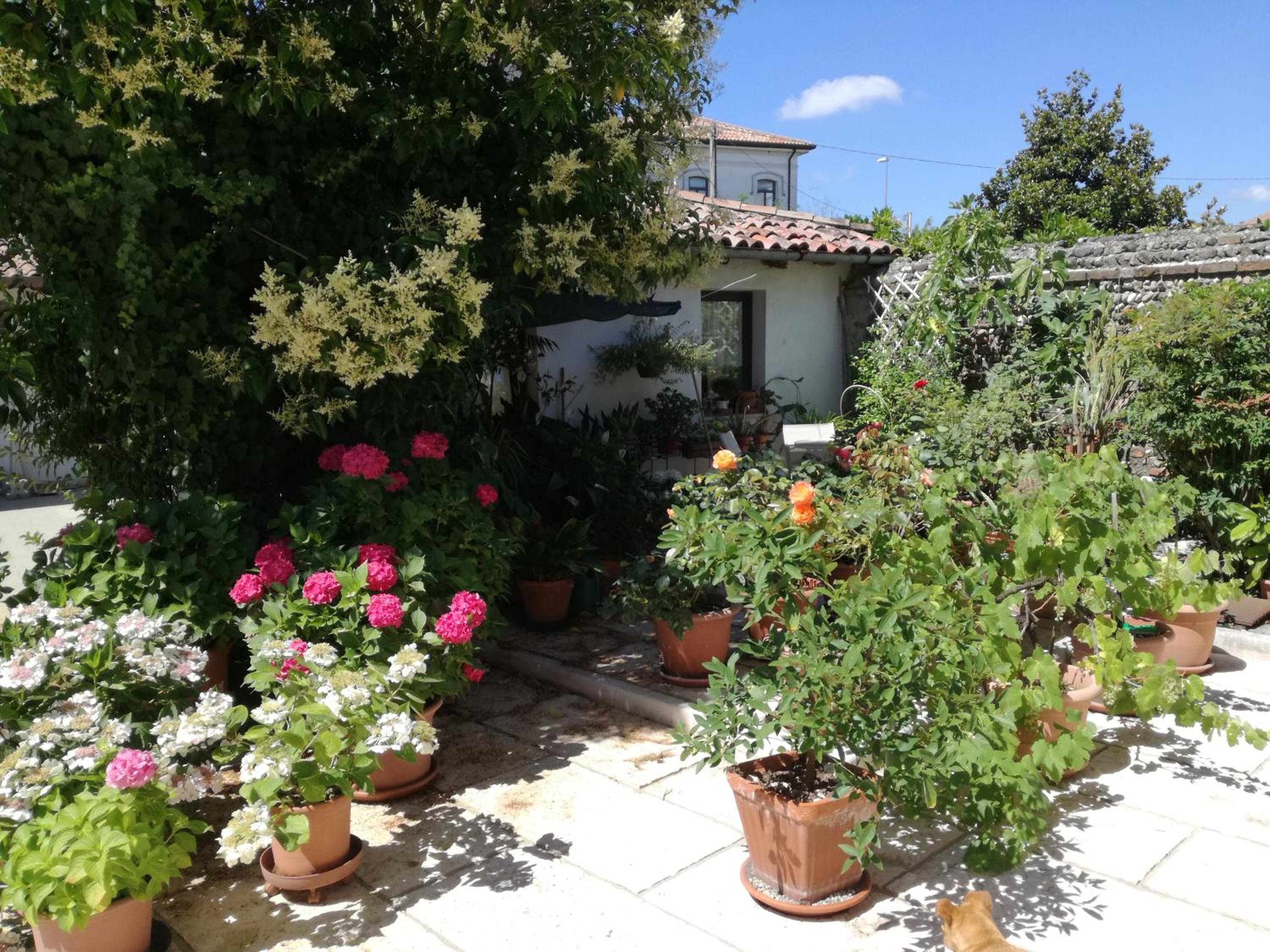 B&B LE ORTENSIE view 3
