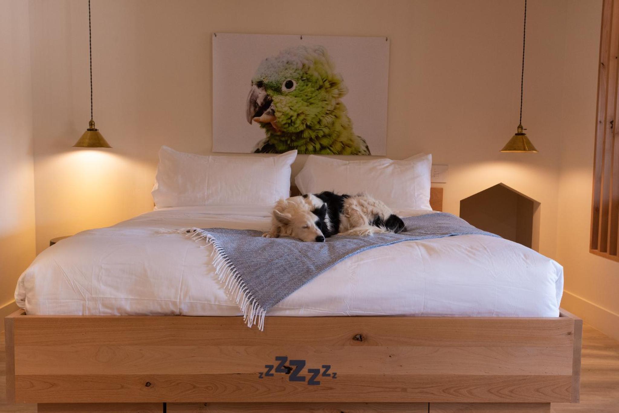 Kanab Vacations - Best Friends Roadhouse and Mercantile - Property Image 34