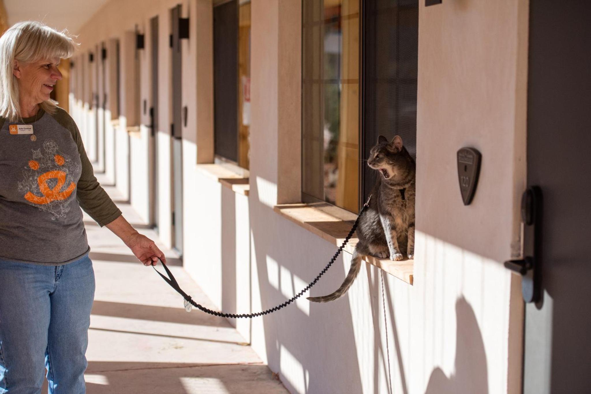 Kanab Vacations - Best Friends Roadhouse and Mercantile - Property Image 3