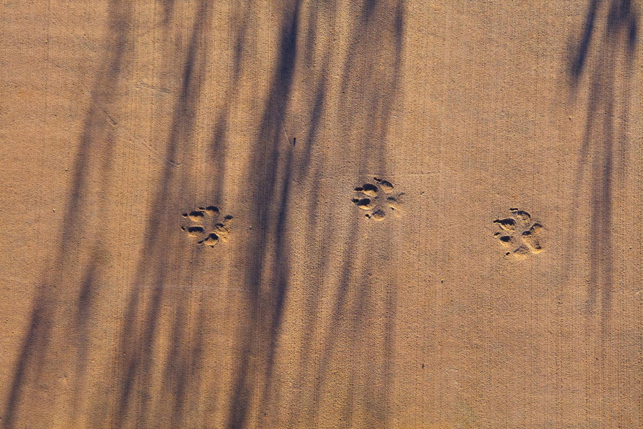 Kanab Vacations - Best Friends Roadhouse and Mercantile - Property Image 3