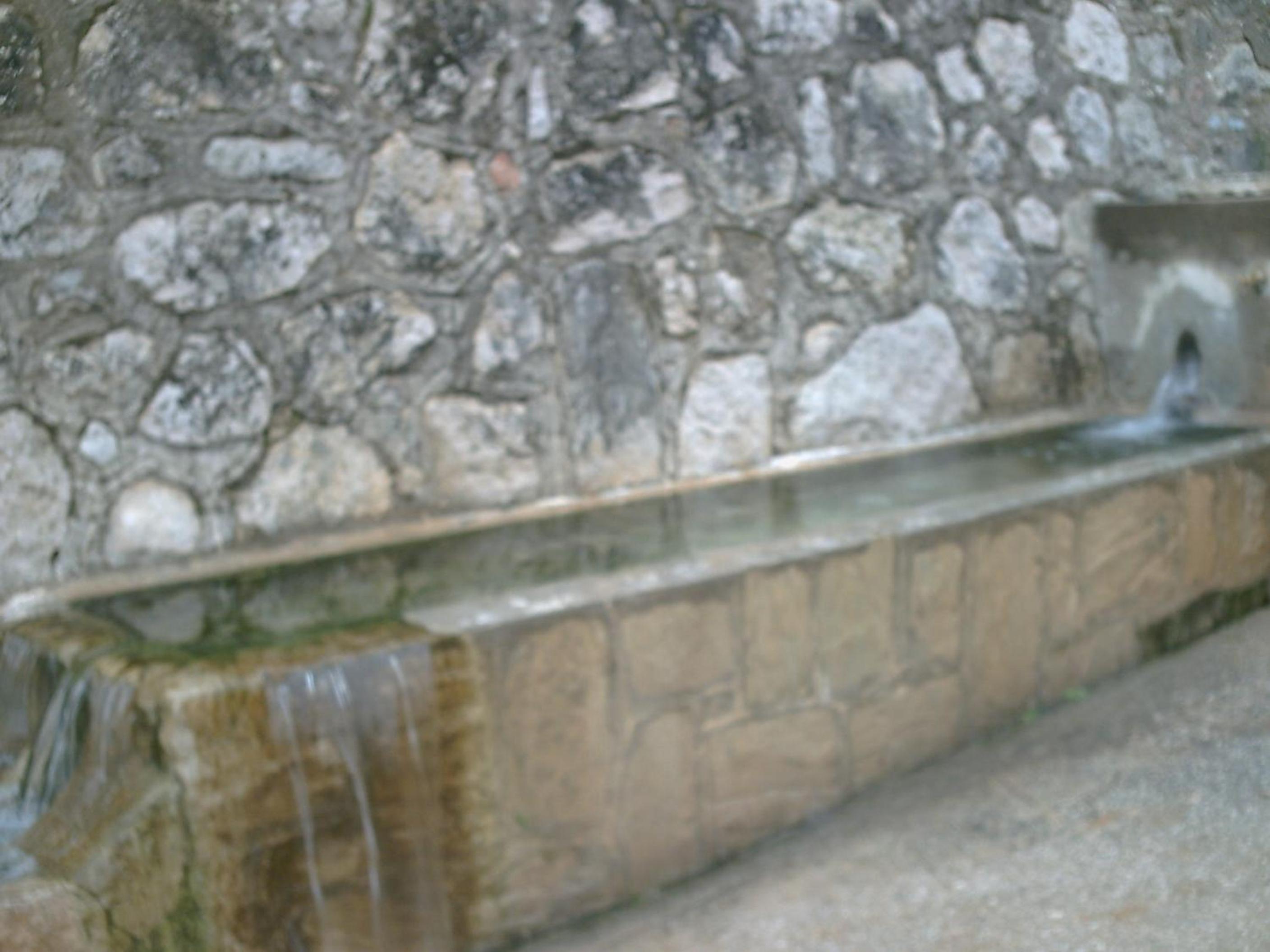 Photo 37