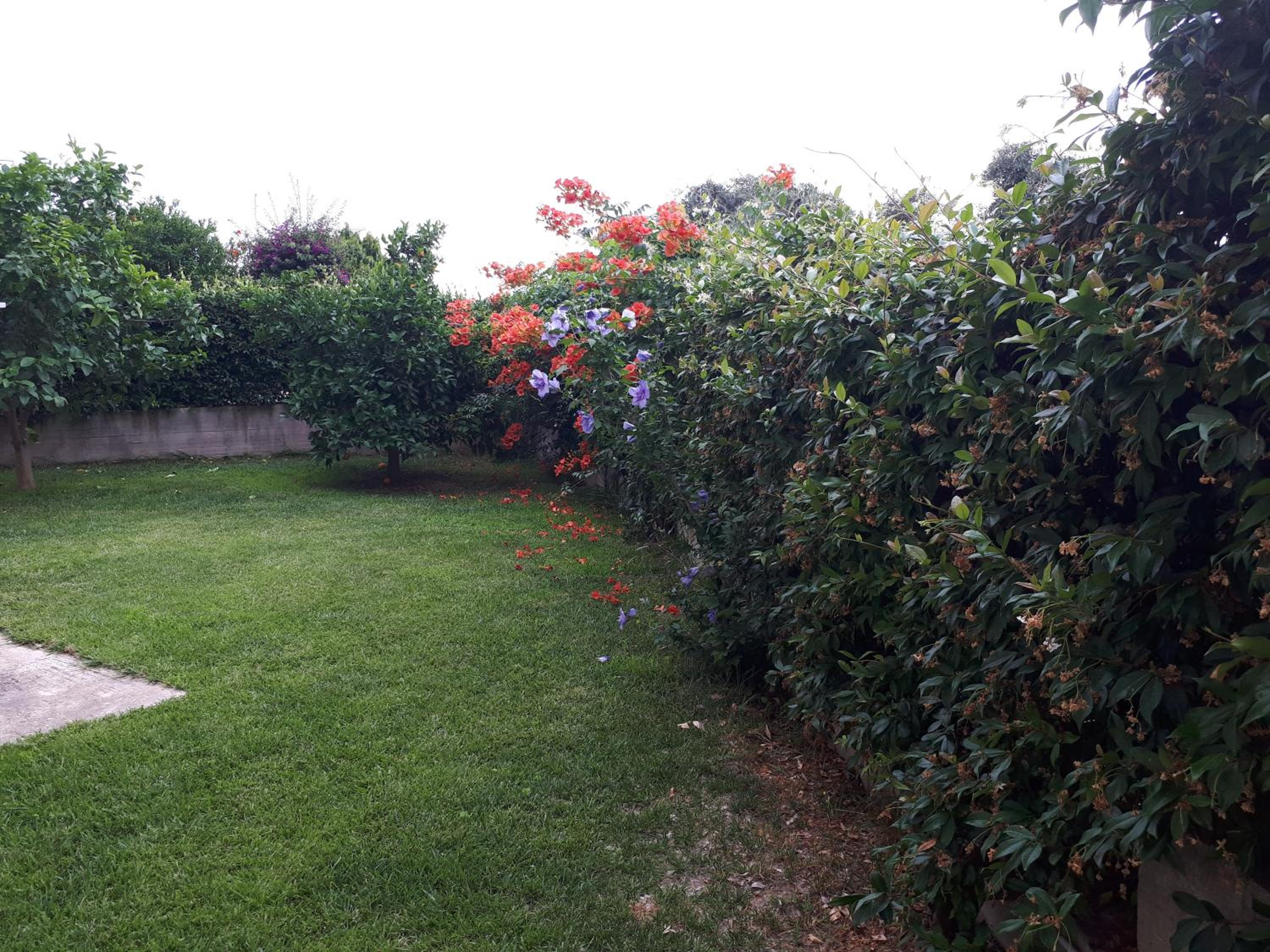 Photo 33