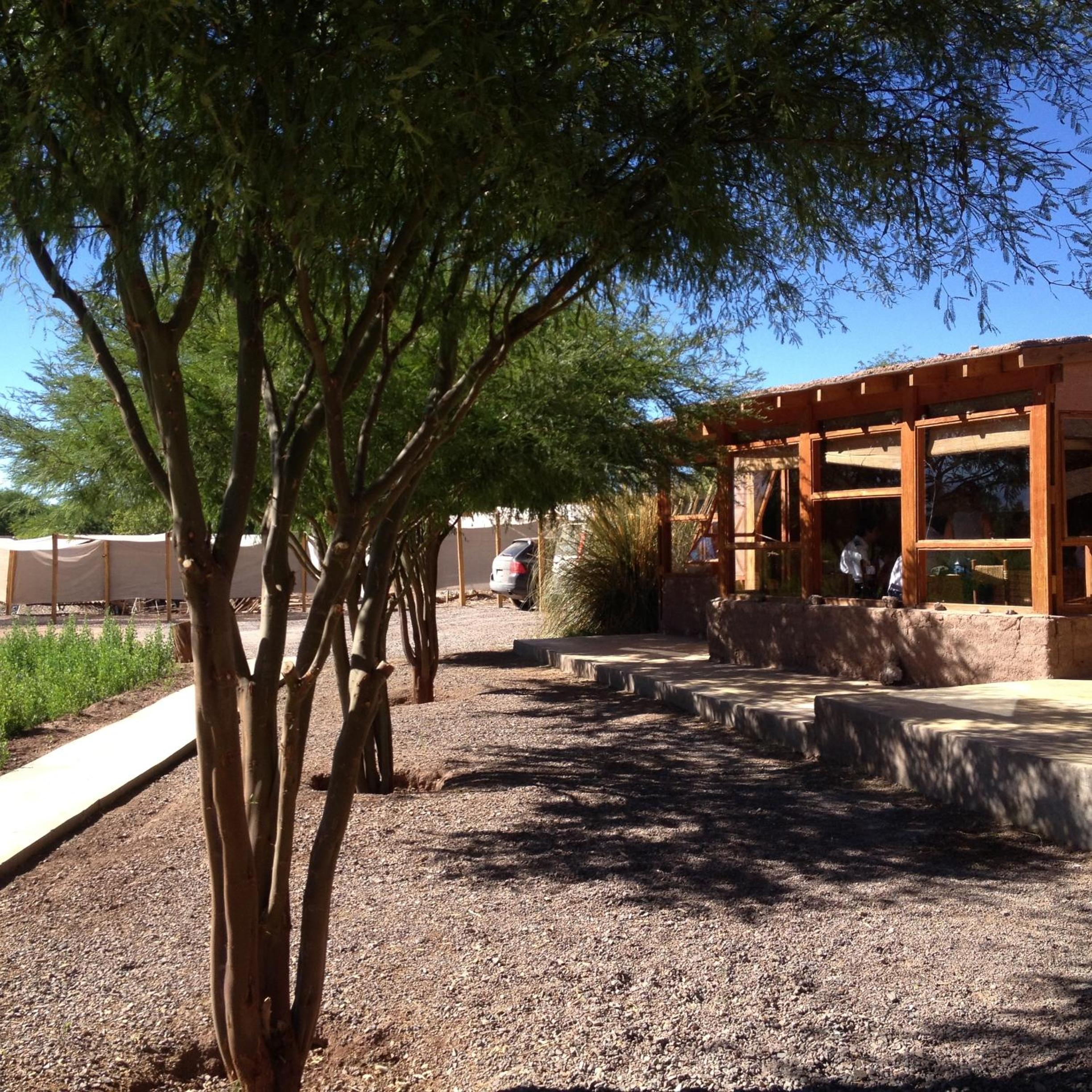 Lodge Altitud