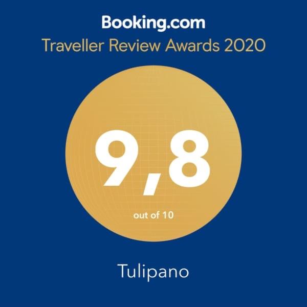 Tulipano, photo 2
