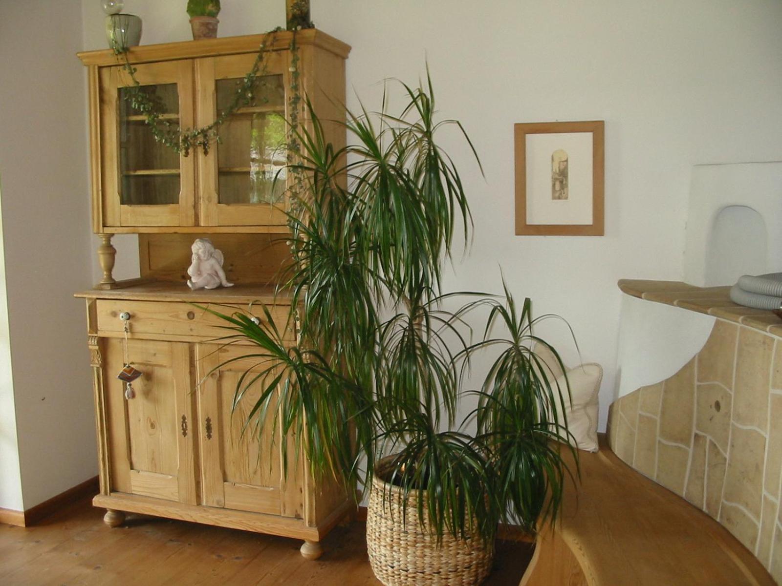 Ferienwohnung Am Pflanzgarten