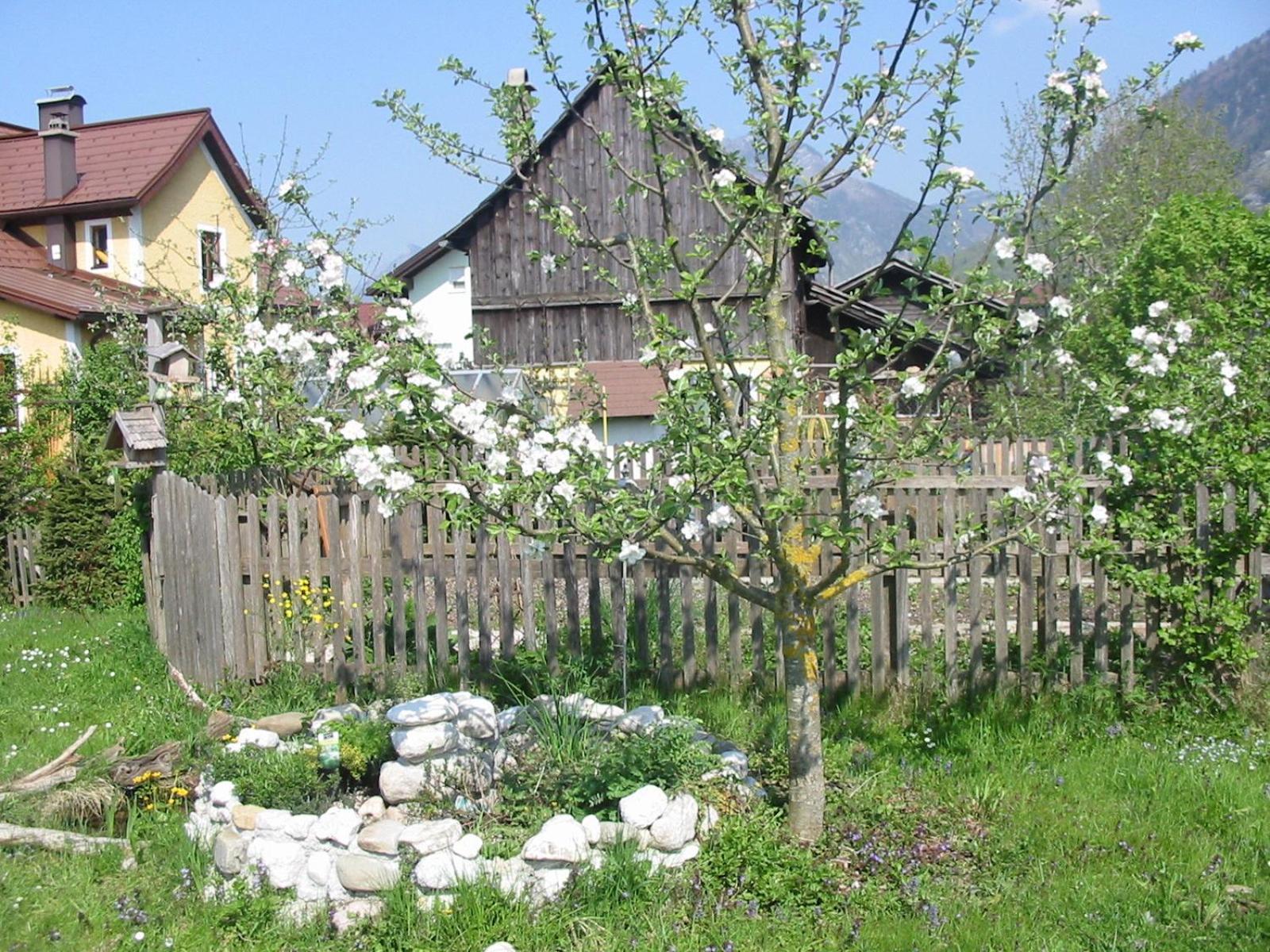 Ferienwohnung Am Pflanzgarten
