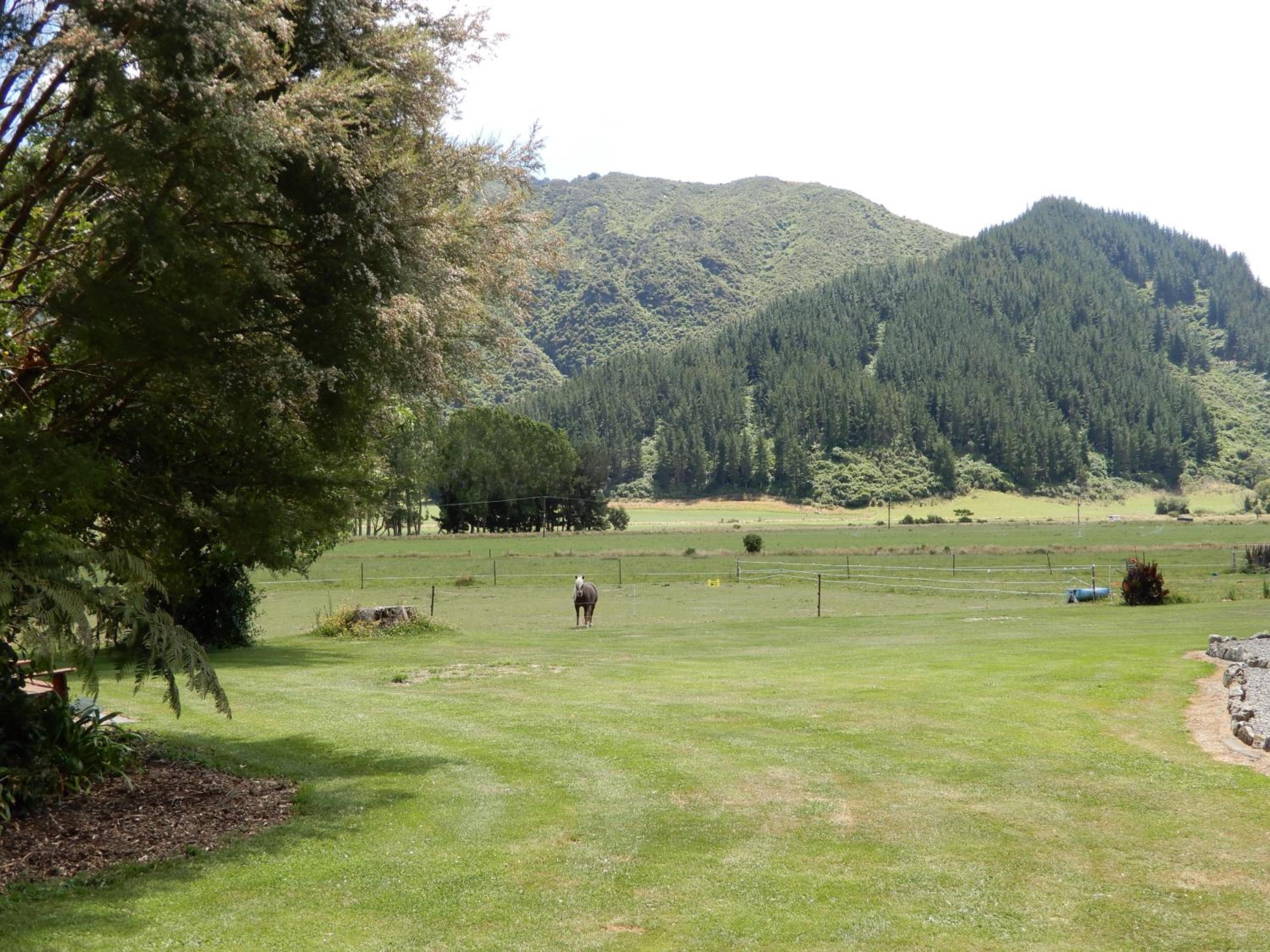 Photo 23