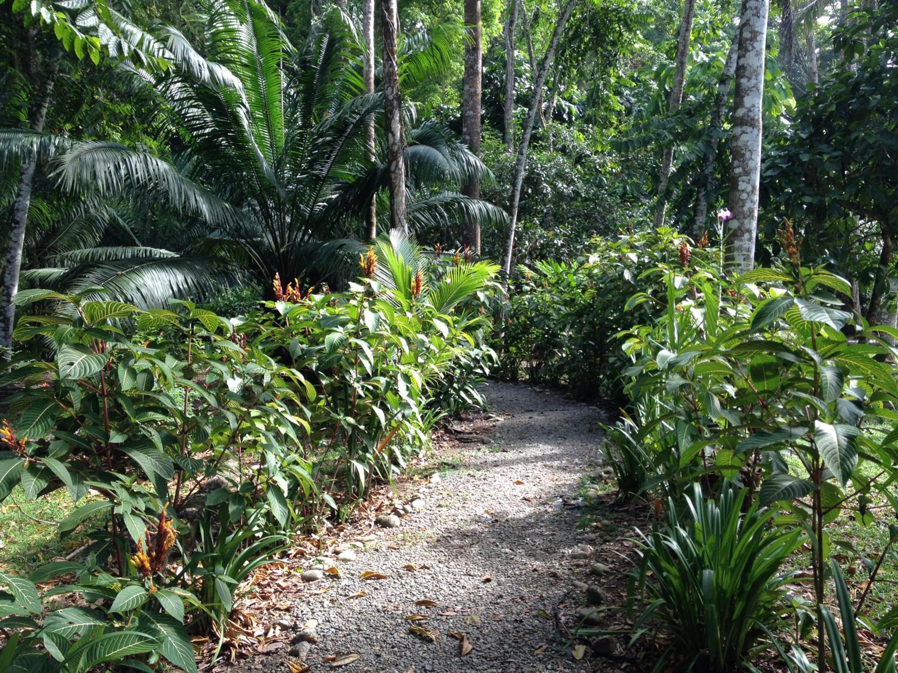 Casita Luna - Pure Wildlife & Private Beach