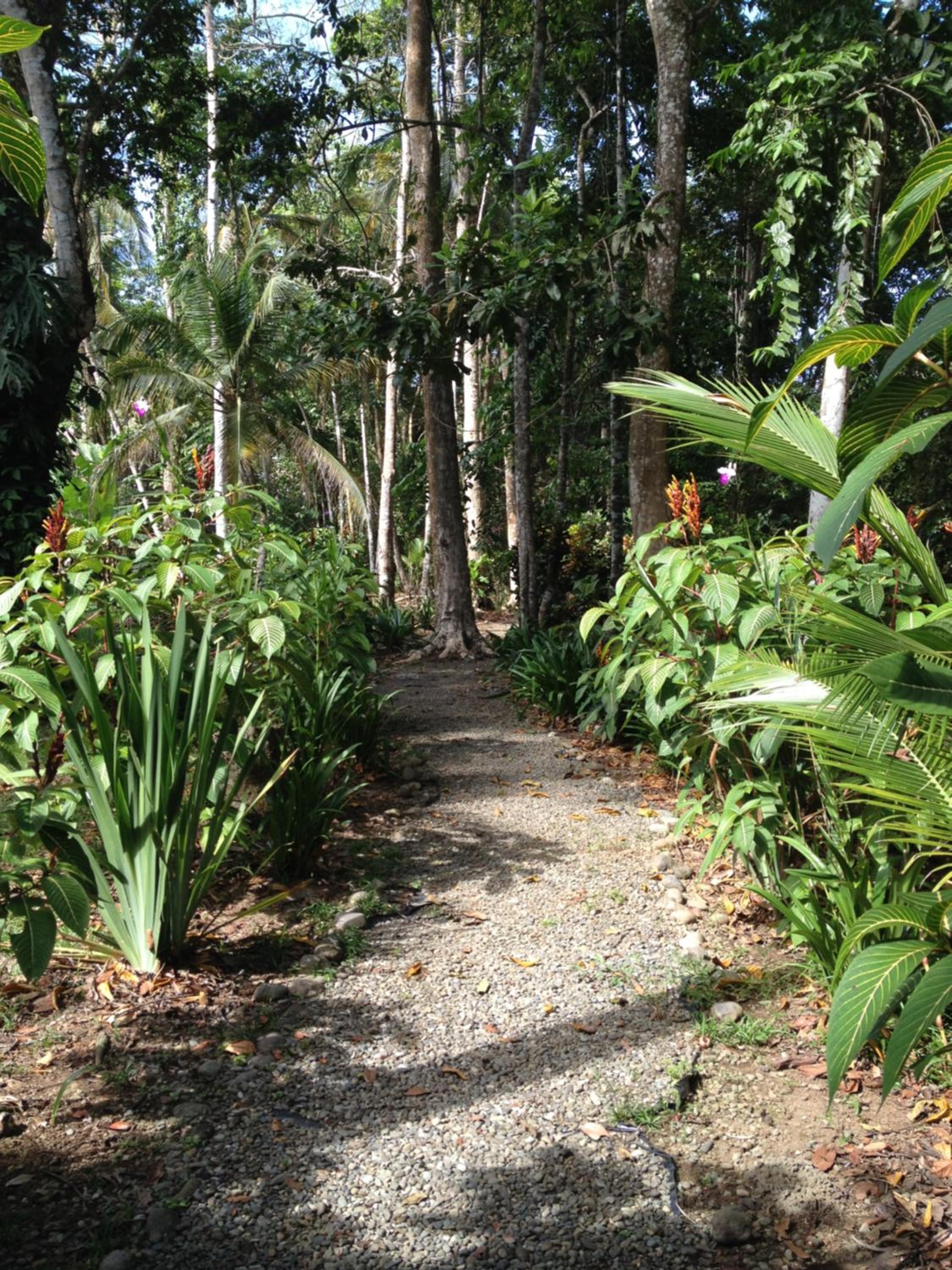 Casita Luna - Pure Wildlife & Private Beach