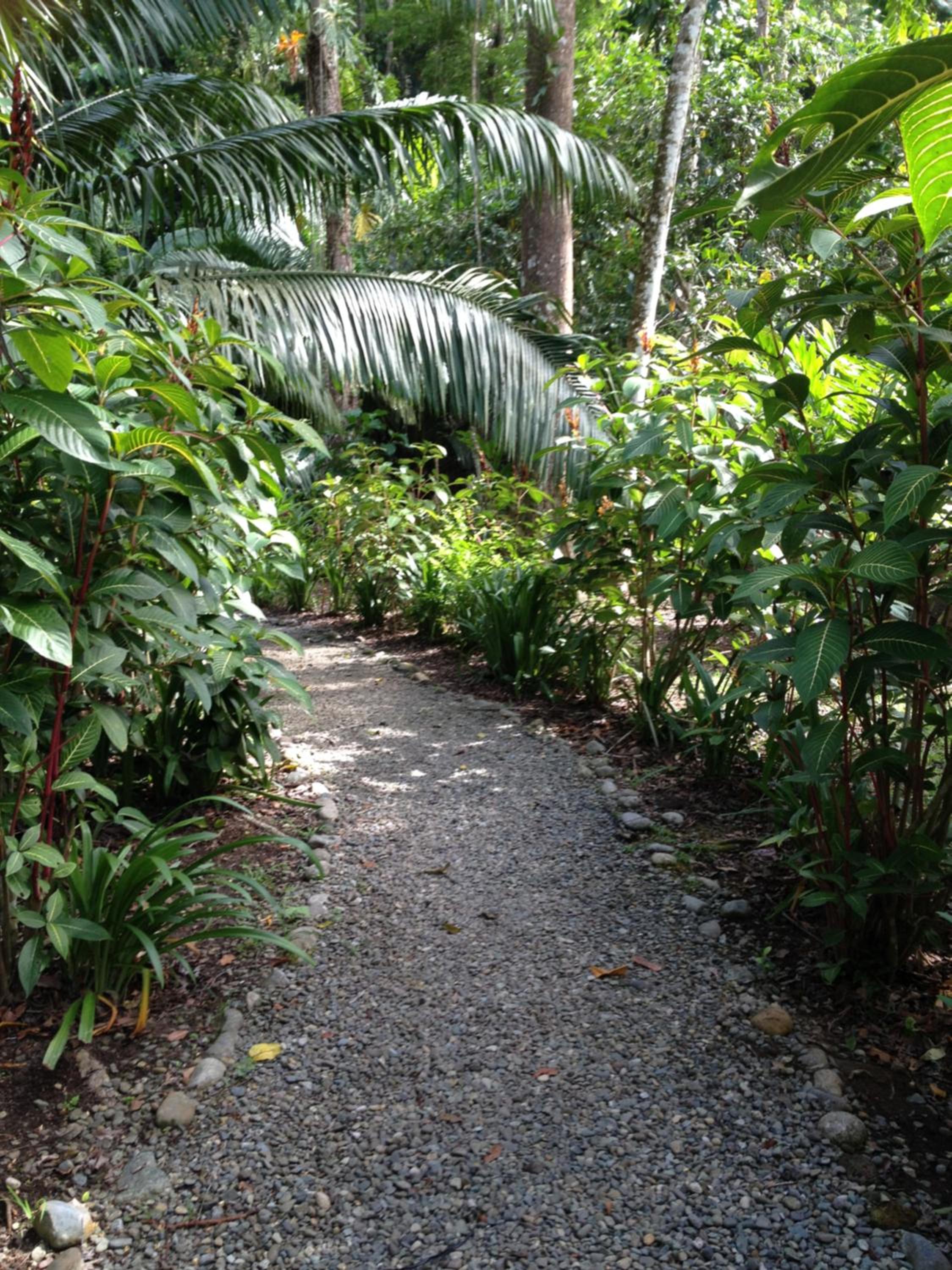 Casita Luna - Pure Wildlife & Private Beach
