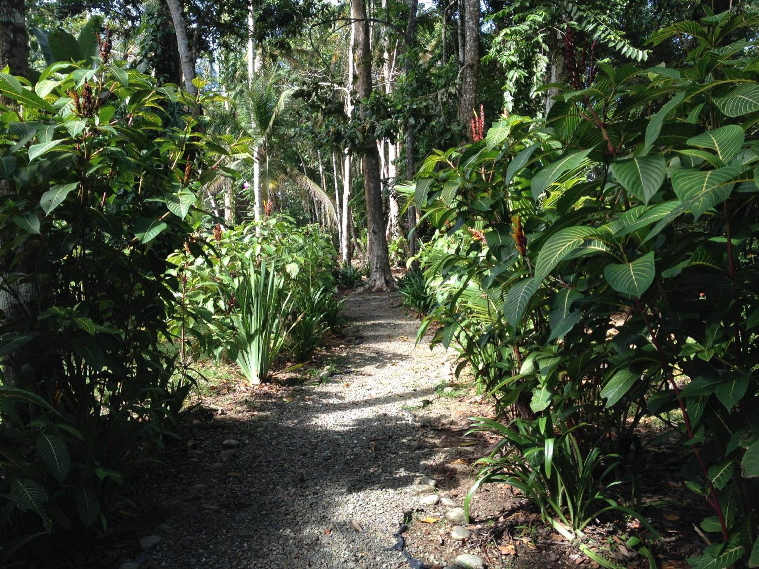 Casita Luna - Pure Wildlife & Private Beach