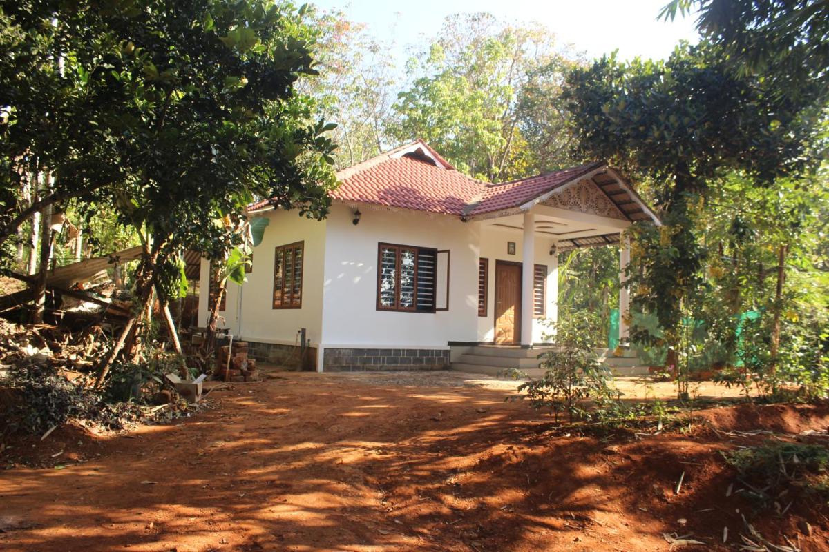 Wayanad Days view 2