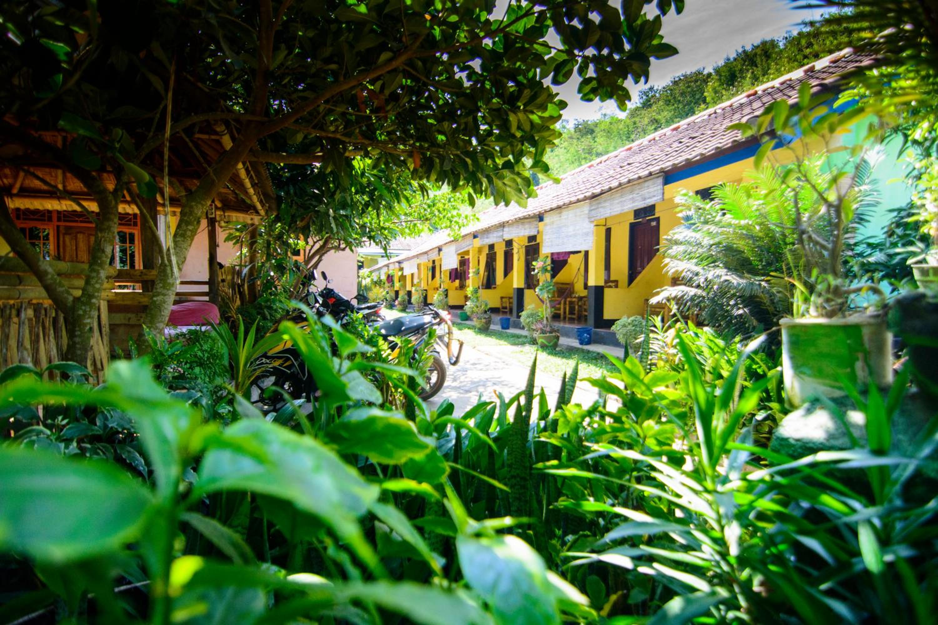 ADELYA HOMESTAY view 4