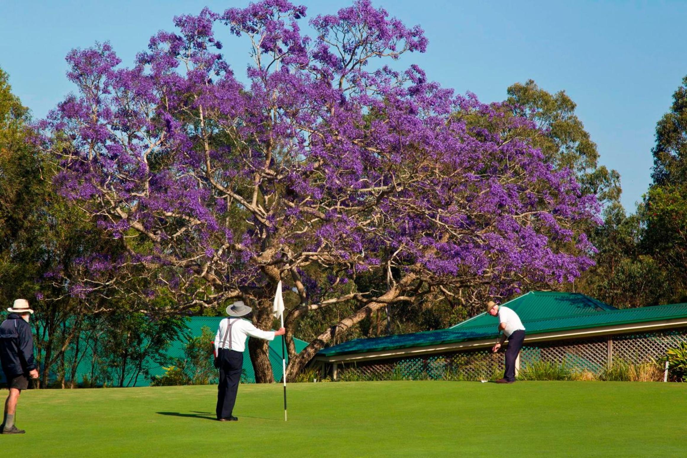 Golf Club Motor Inn Wingham