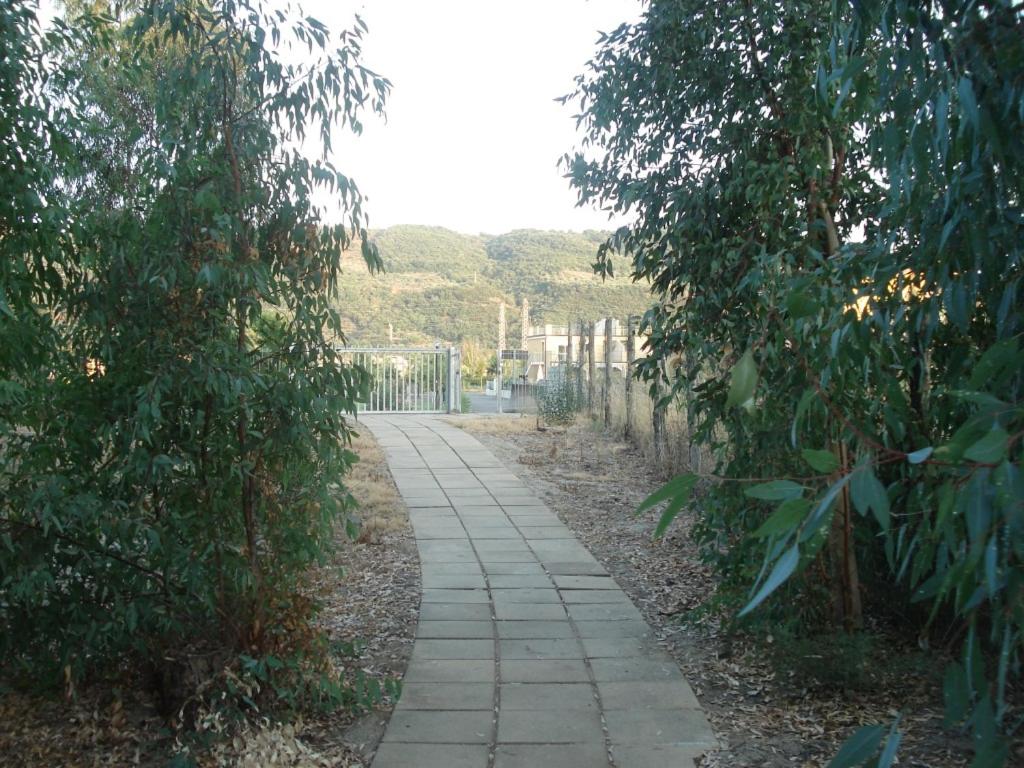 Photo 23