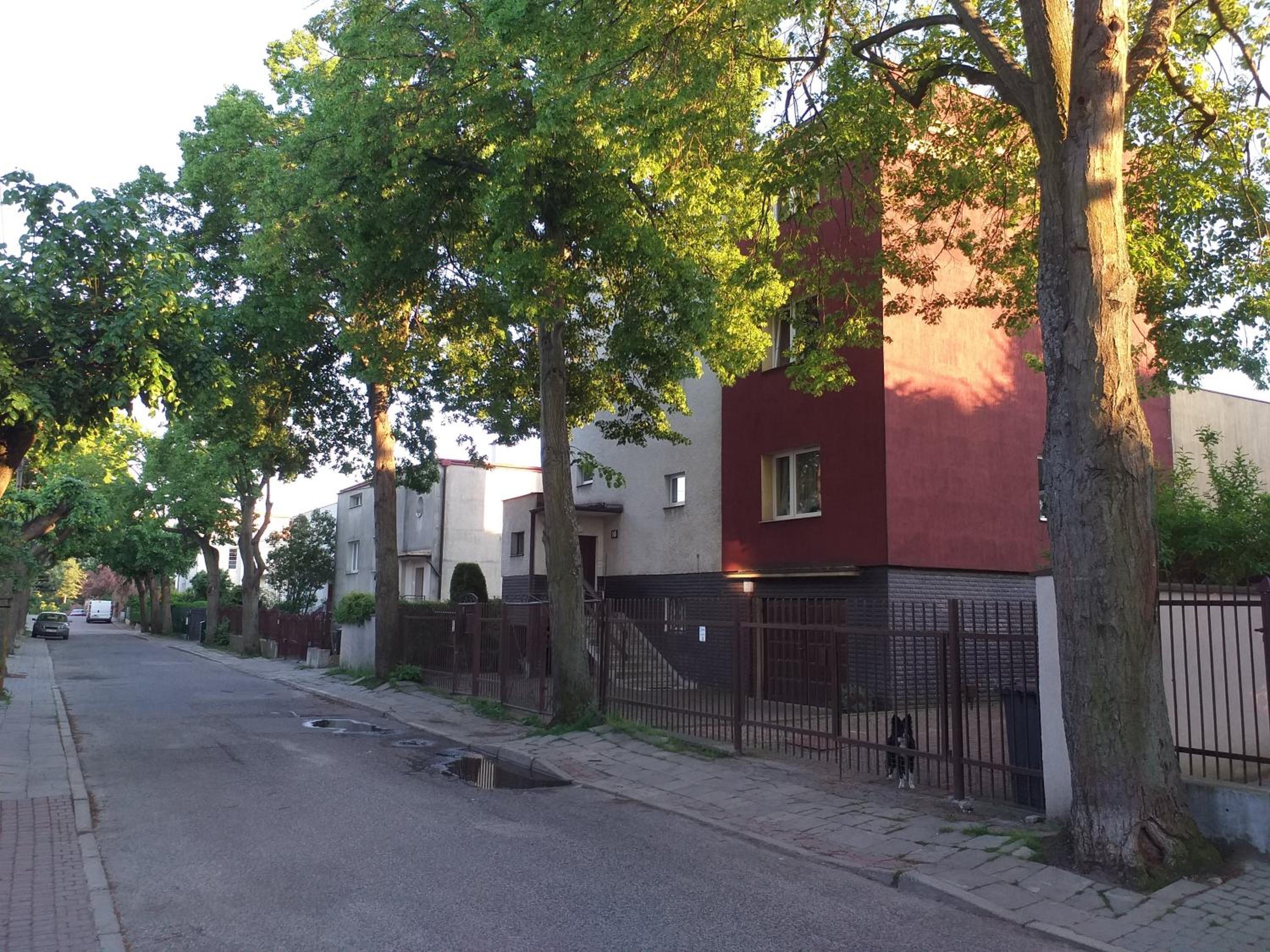 Photo 26