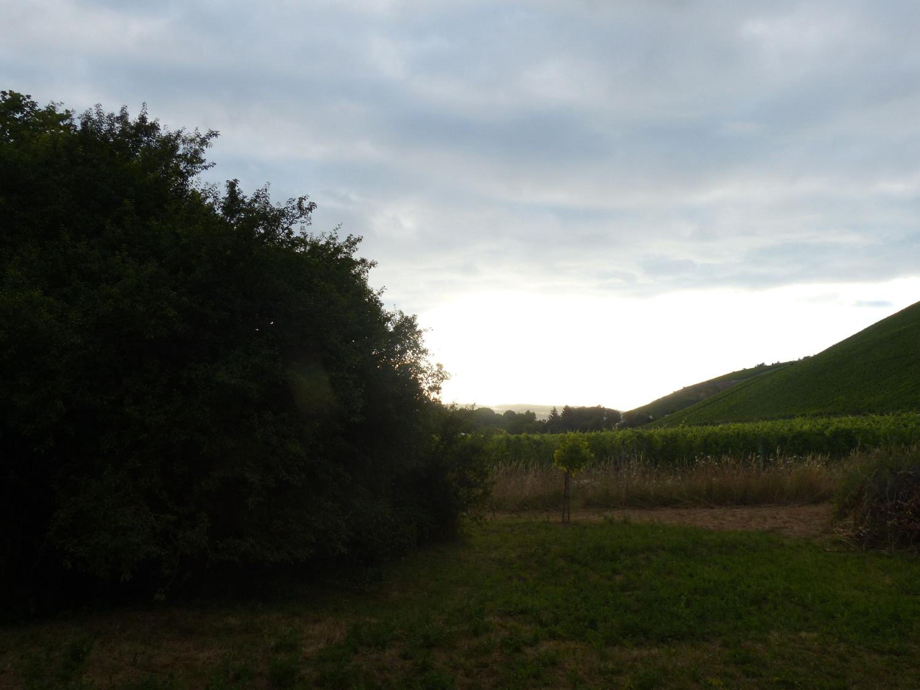 Ehemalige Rosengärtnerei view 2