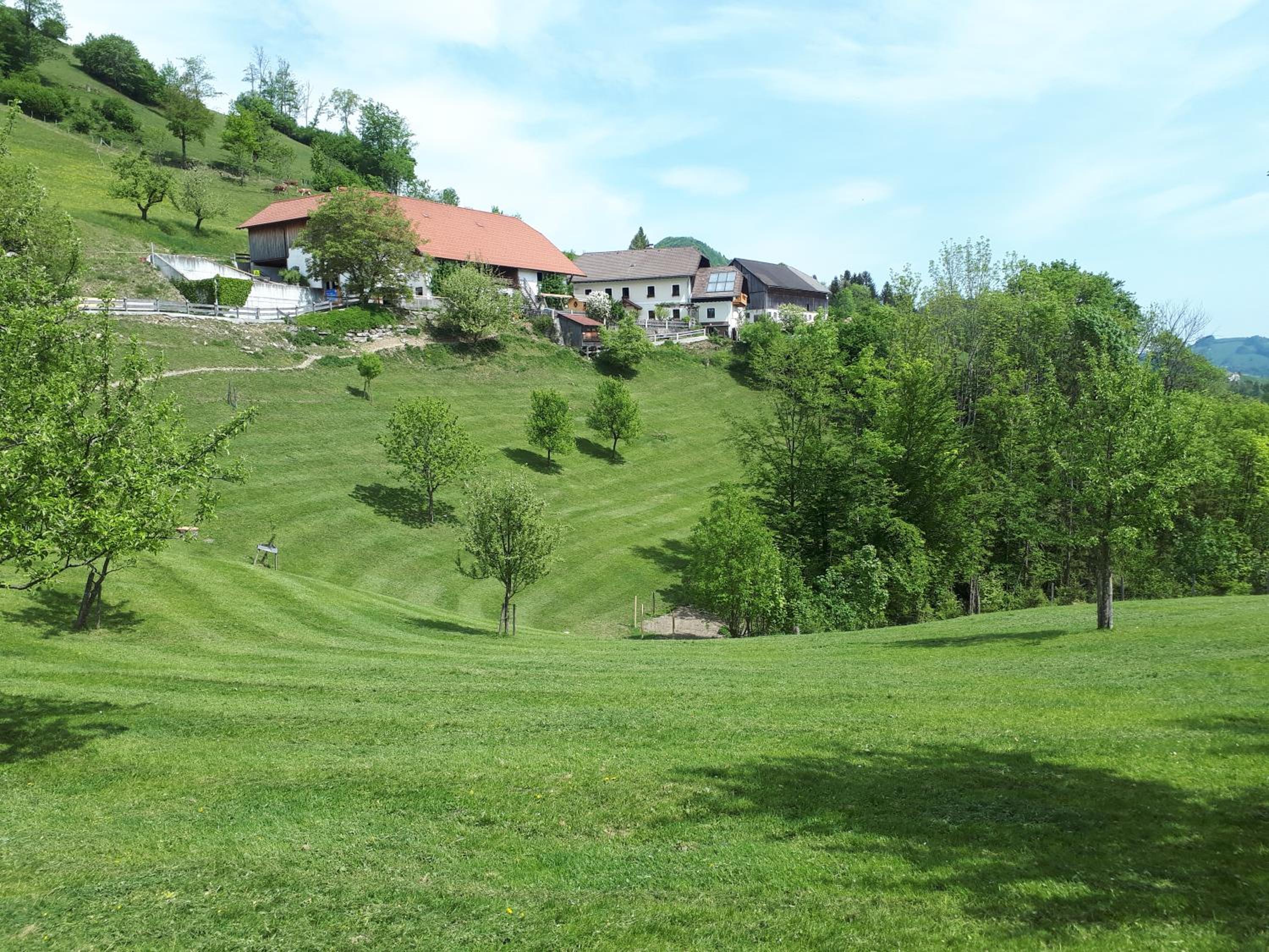 Ferienhof Rabenreith view 5