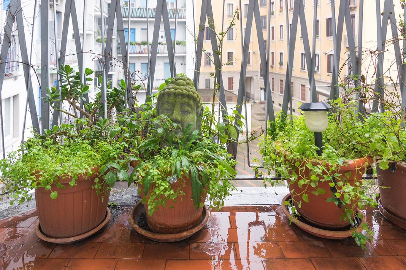 HACCA Collection - Porta Romana