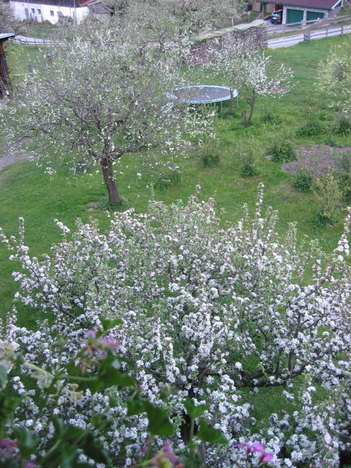 Haus Knapp FeWo Gastein