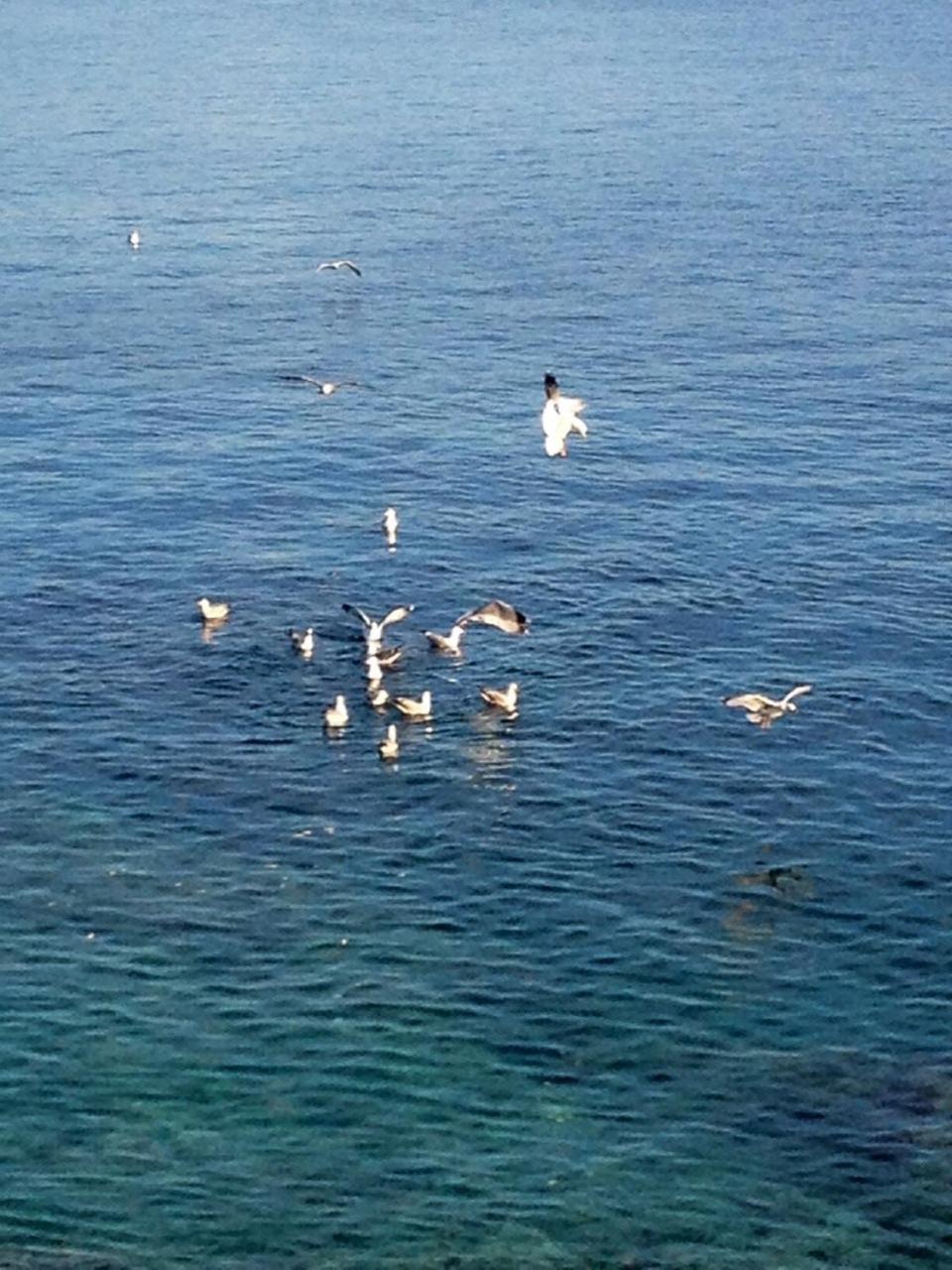 Apartmani Val en Pula
