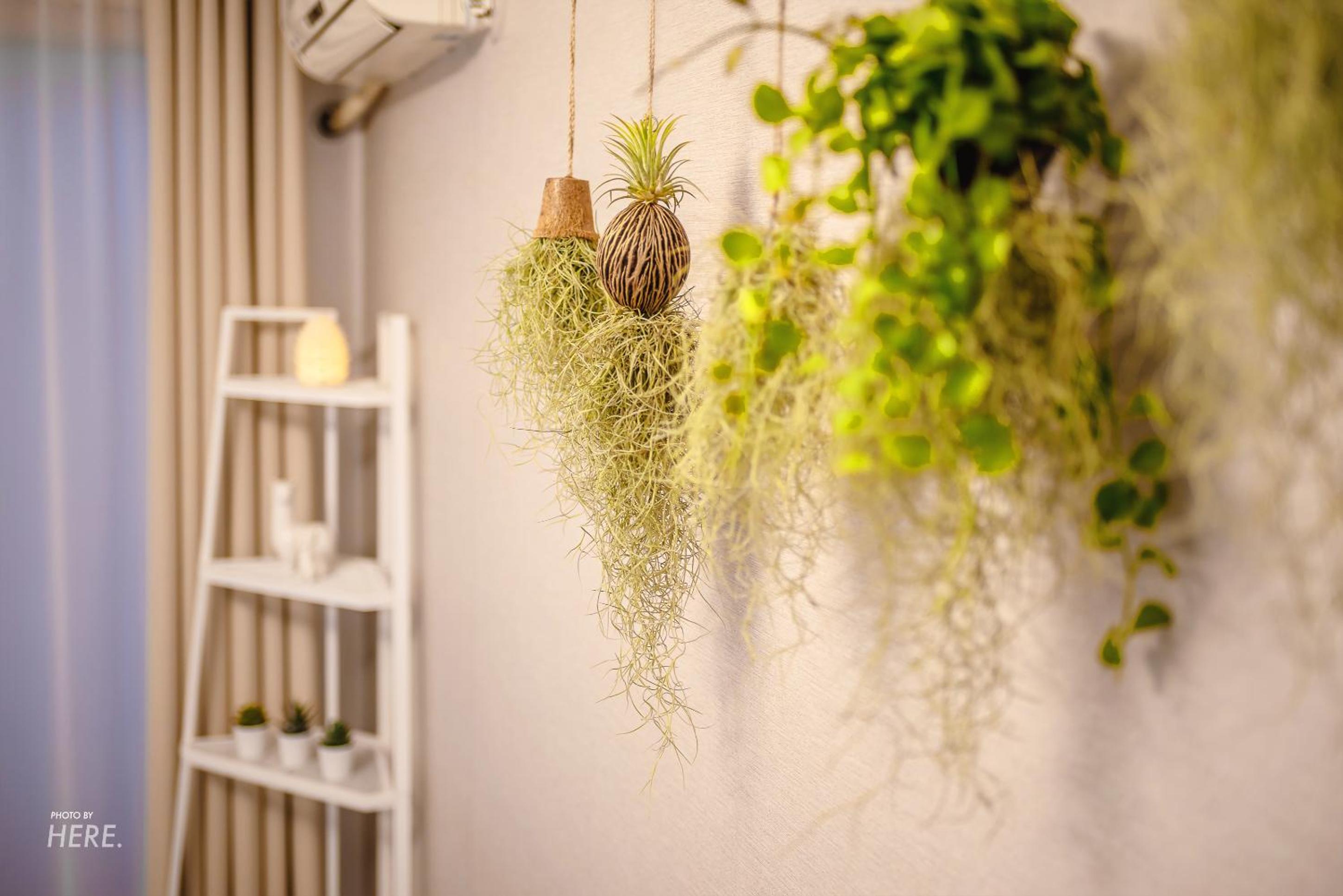 SeeU House Hongdae