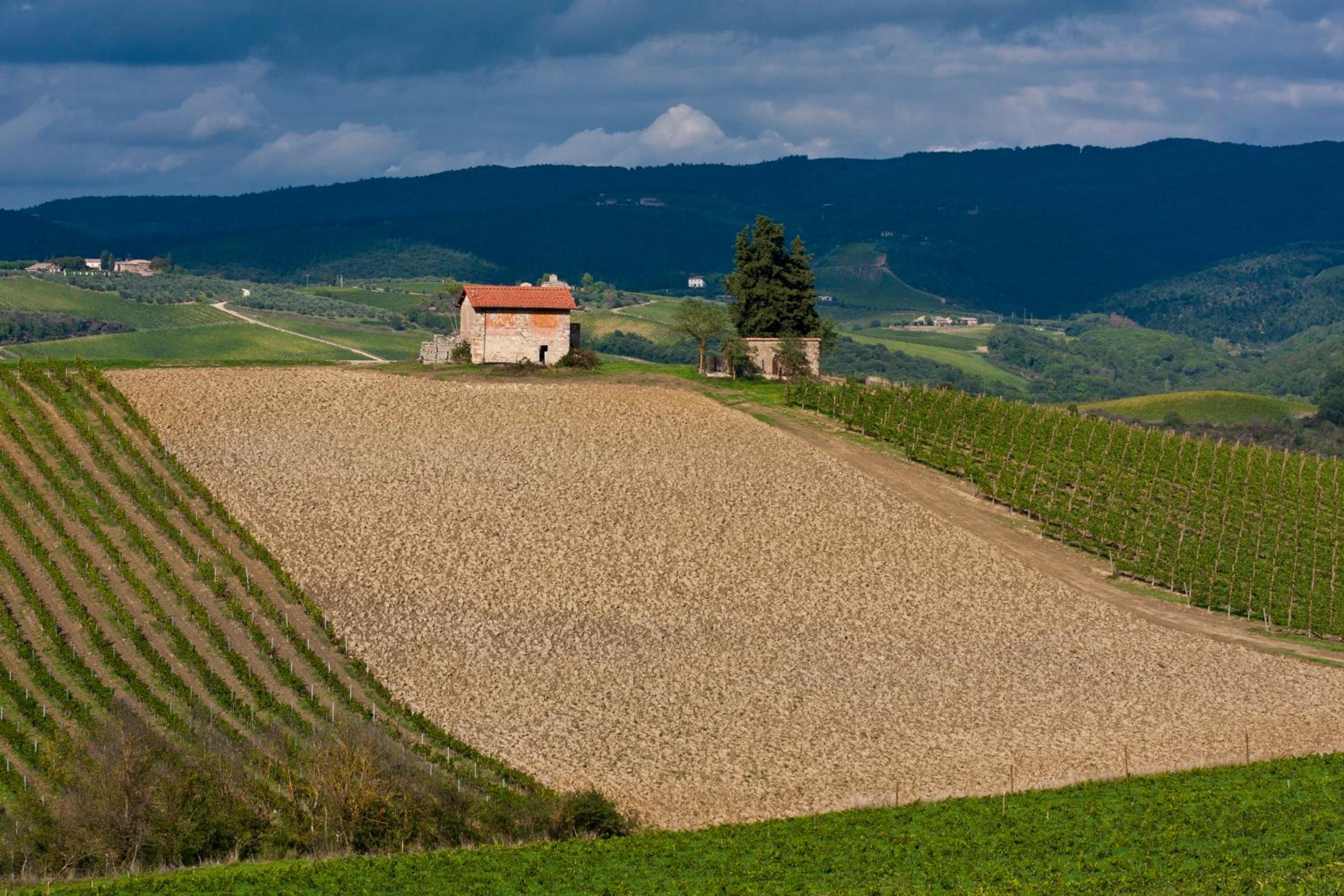 Agriturismo Casale Dello Sparviero