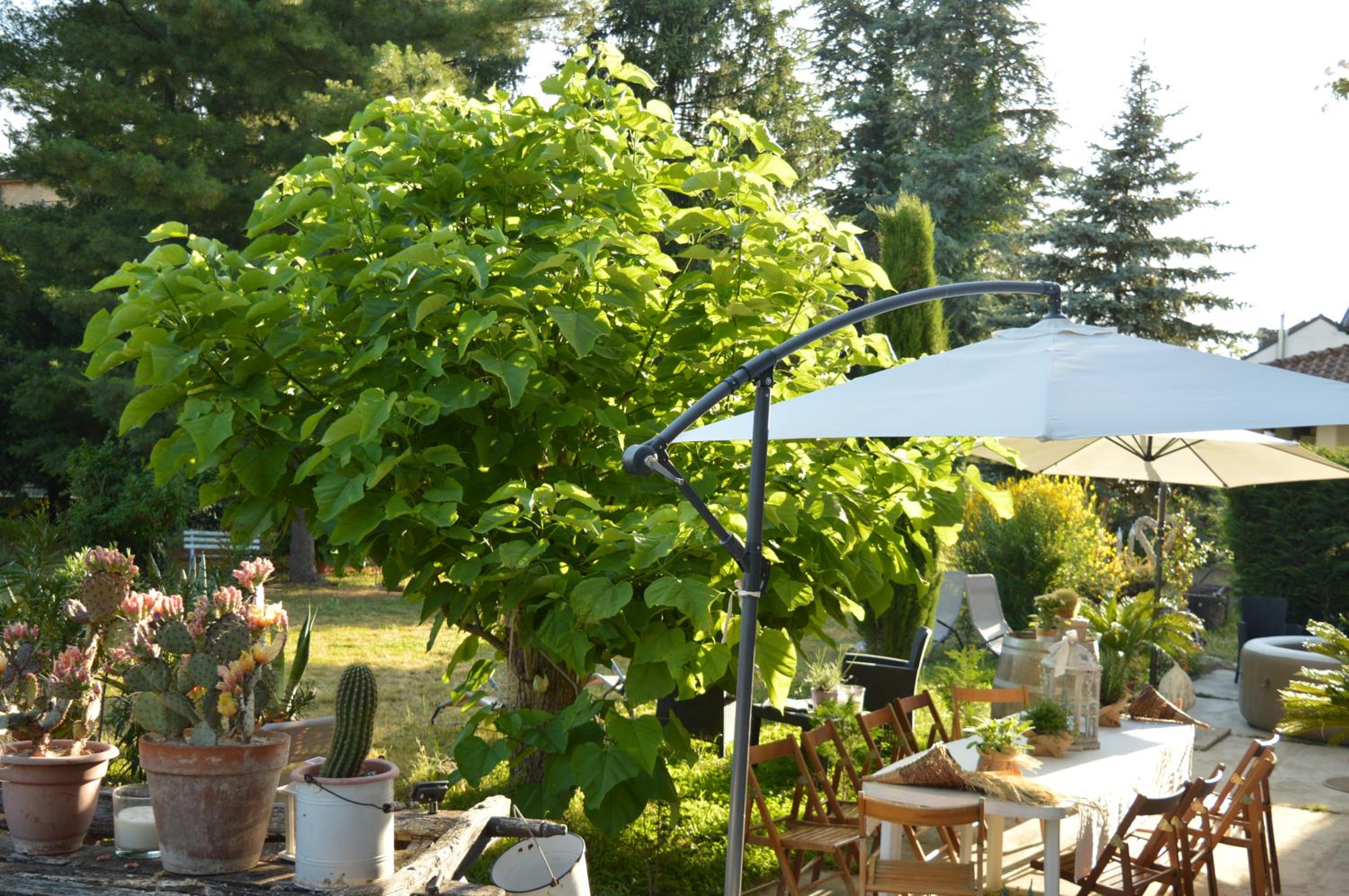 Bed & Tours Dimora di campagna