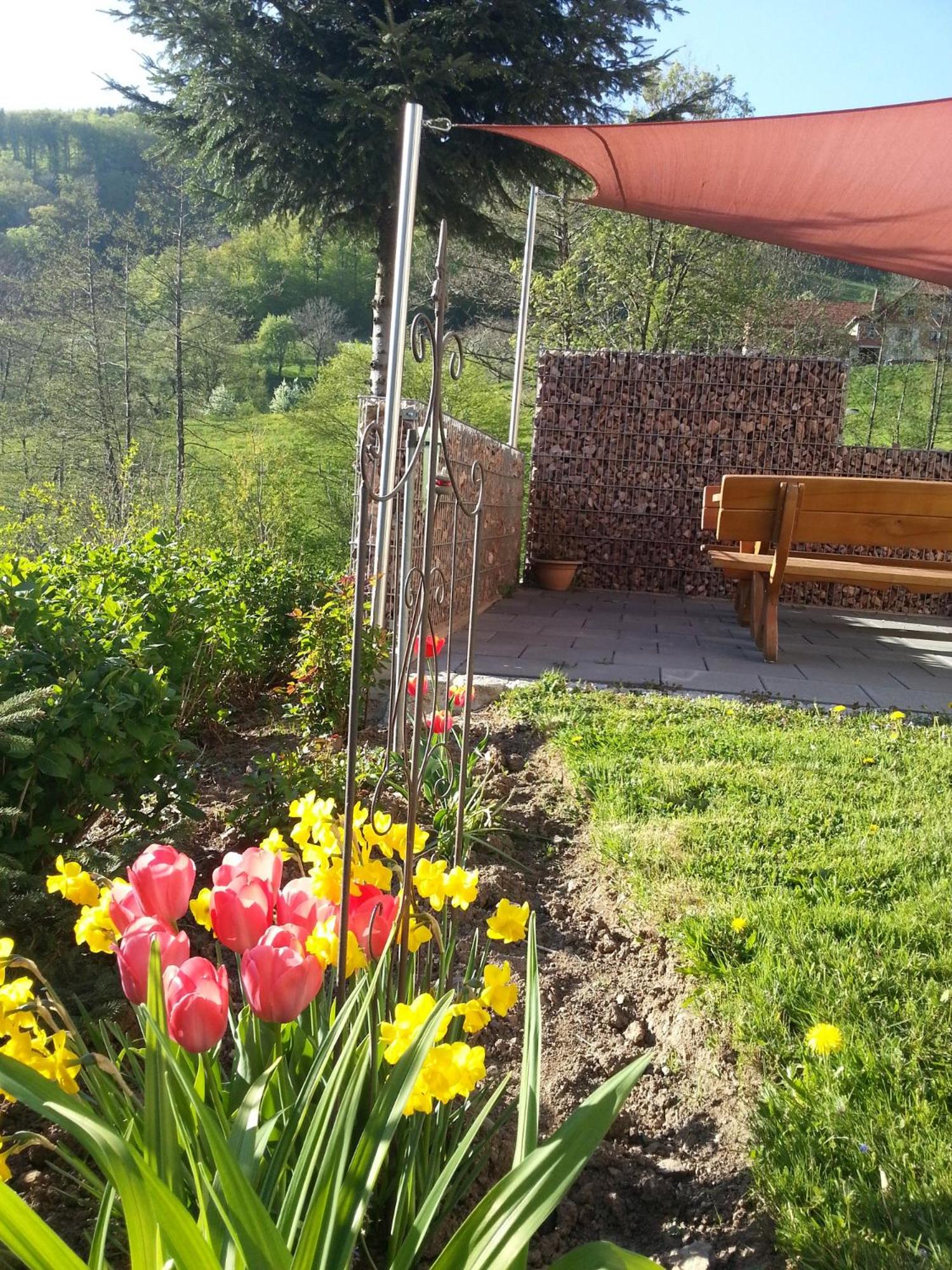 Photo 12