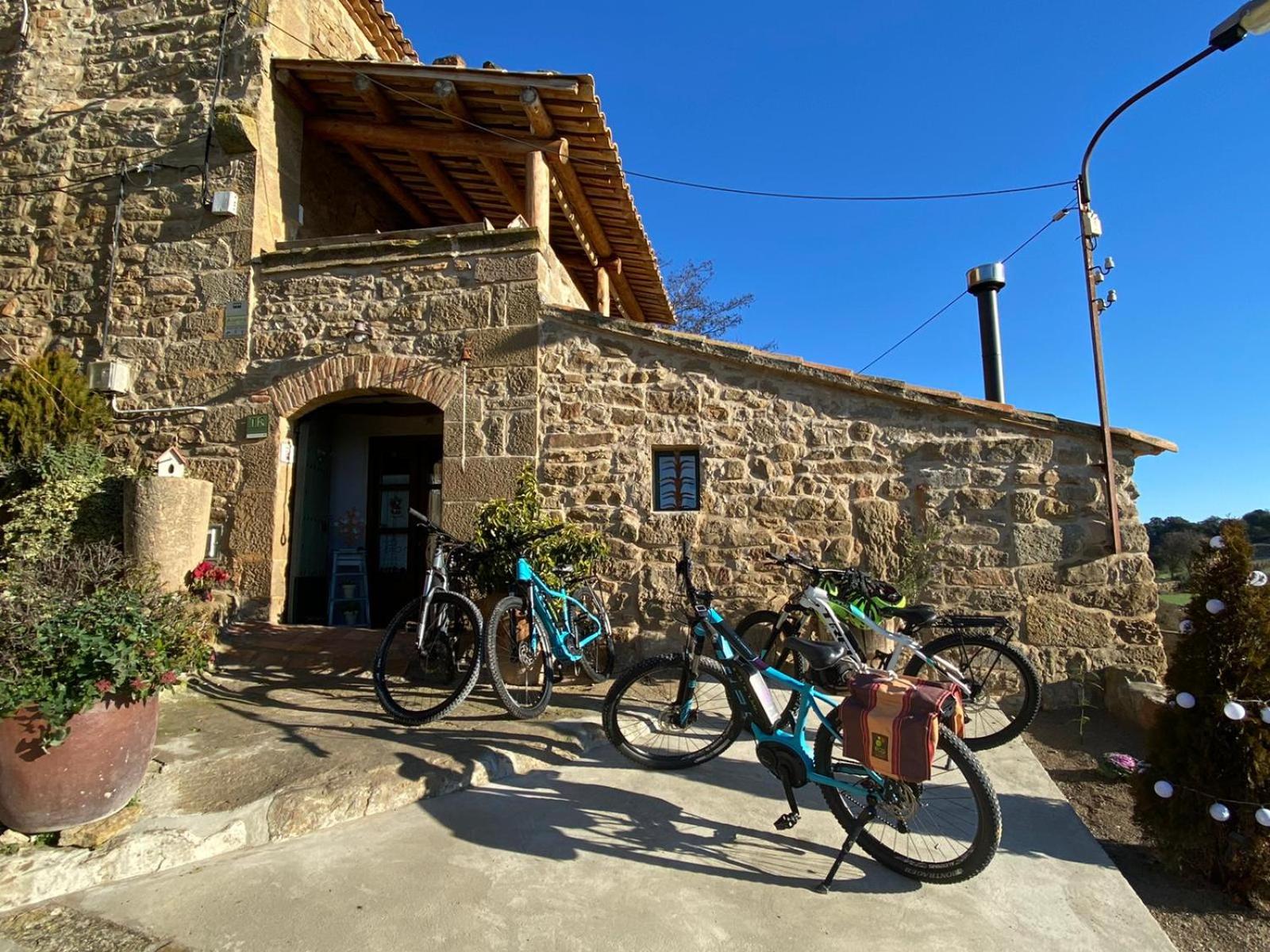 La casa dels ocells
