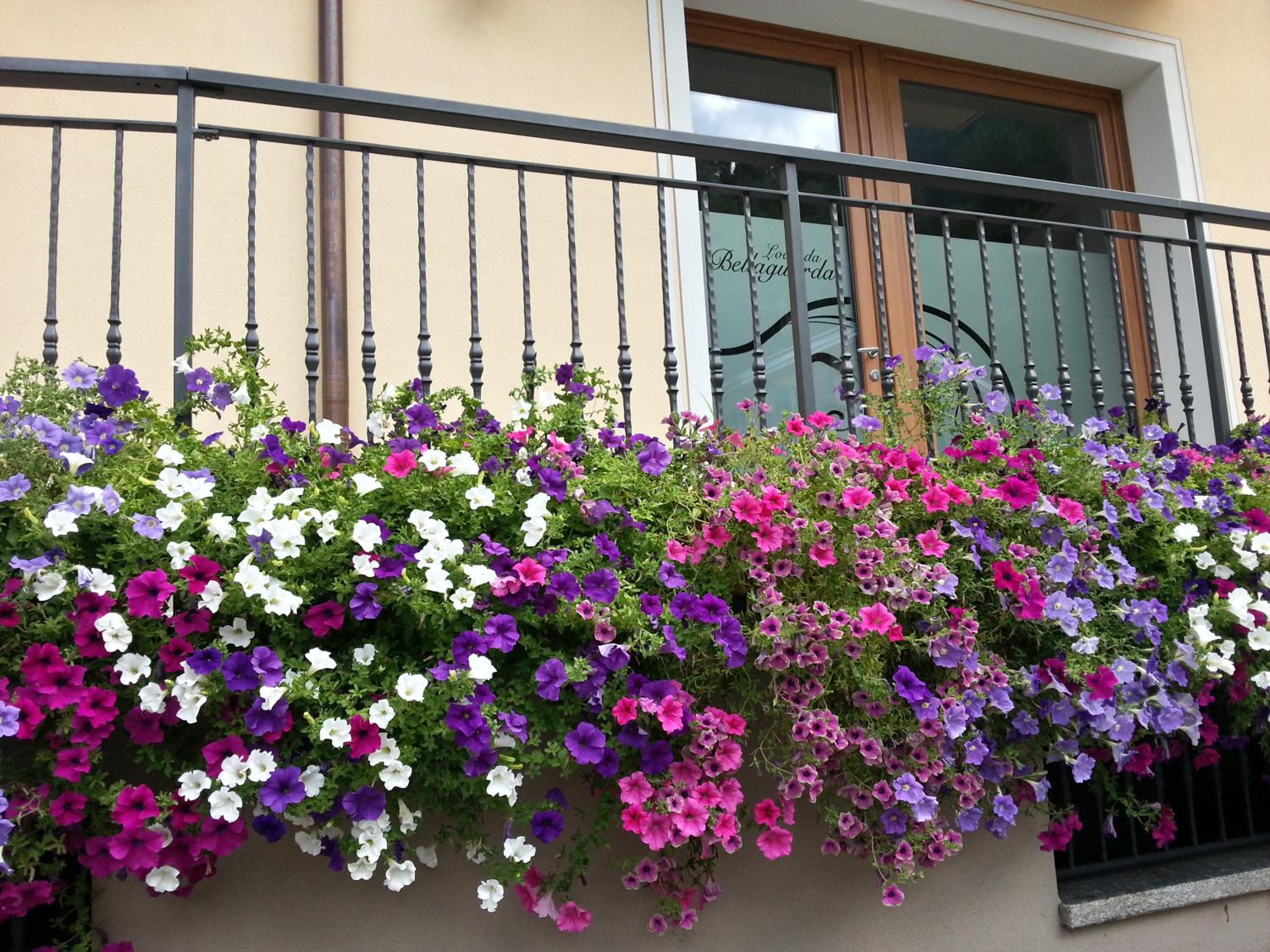 Locanda BellaguardaB&B, Foto 3