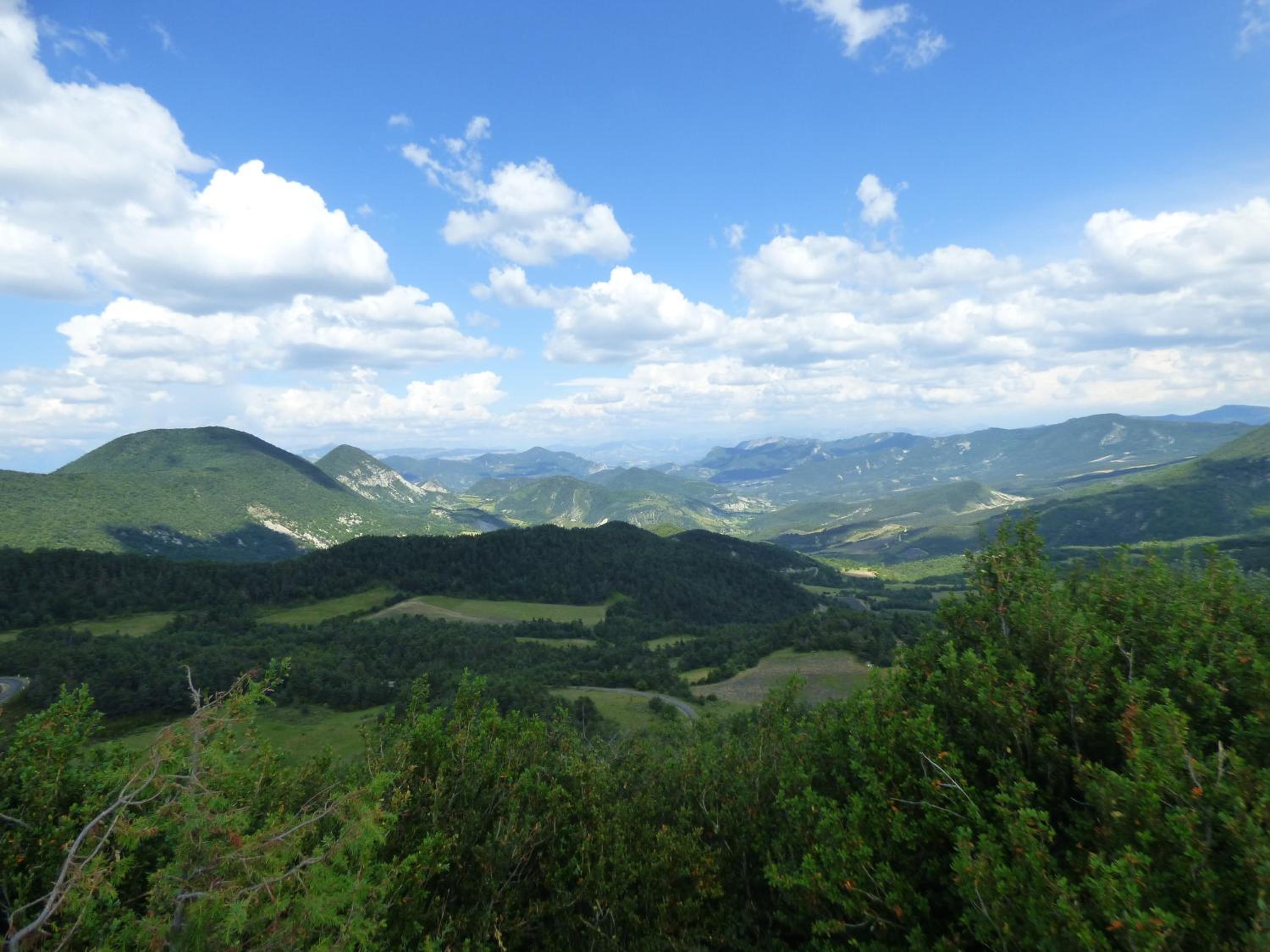 Photo 25