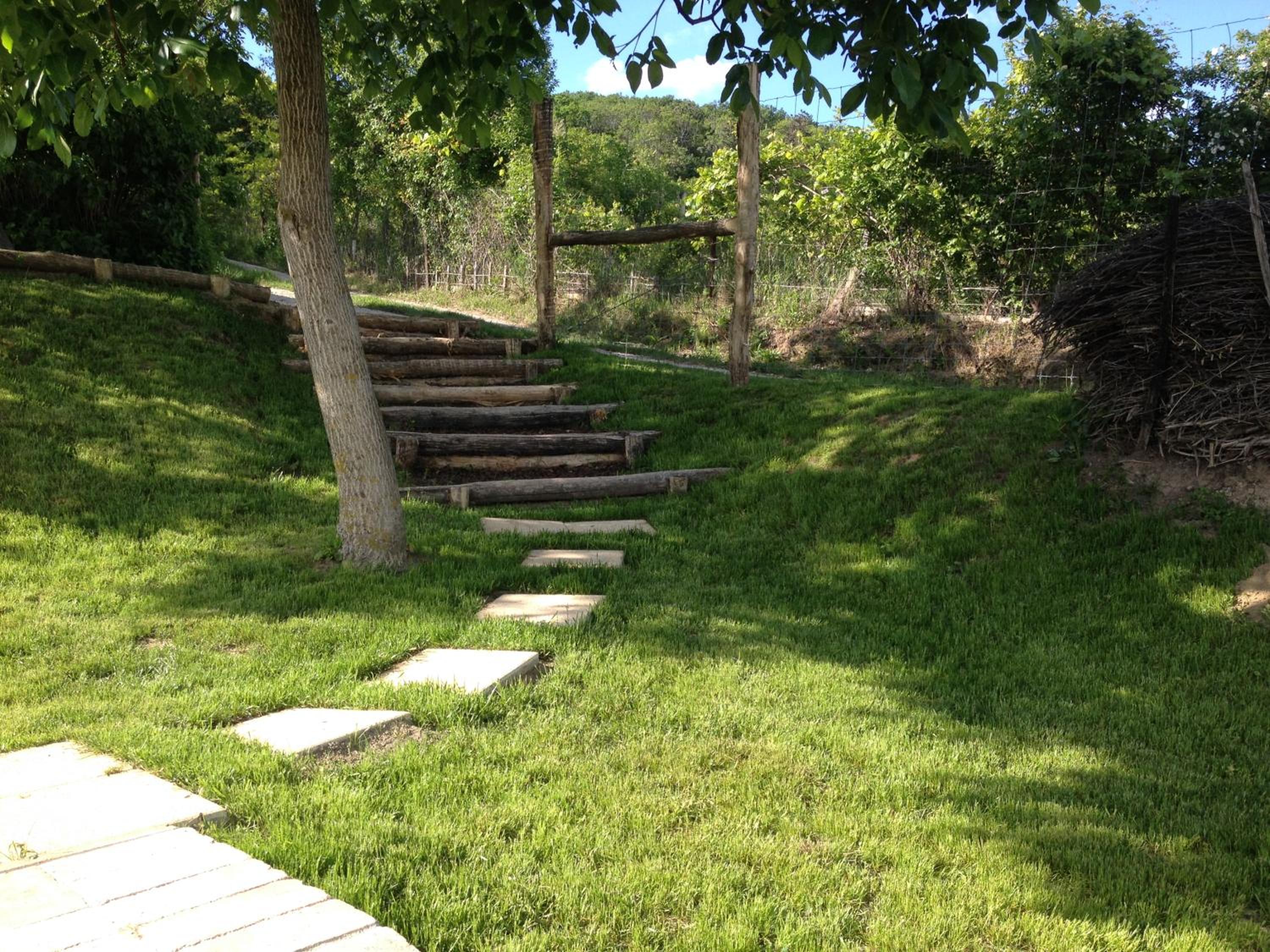 Photo 20