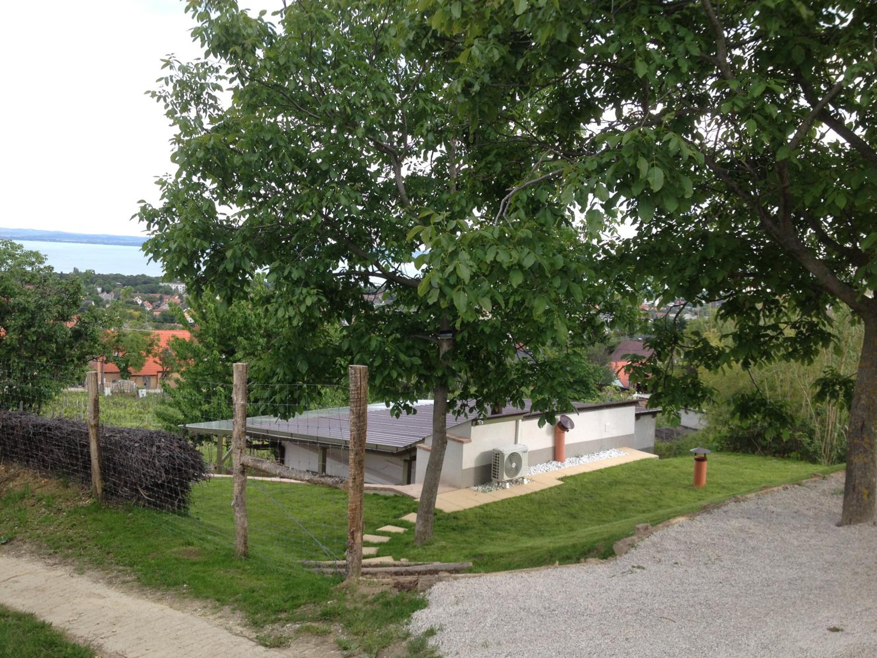 Photo 24